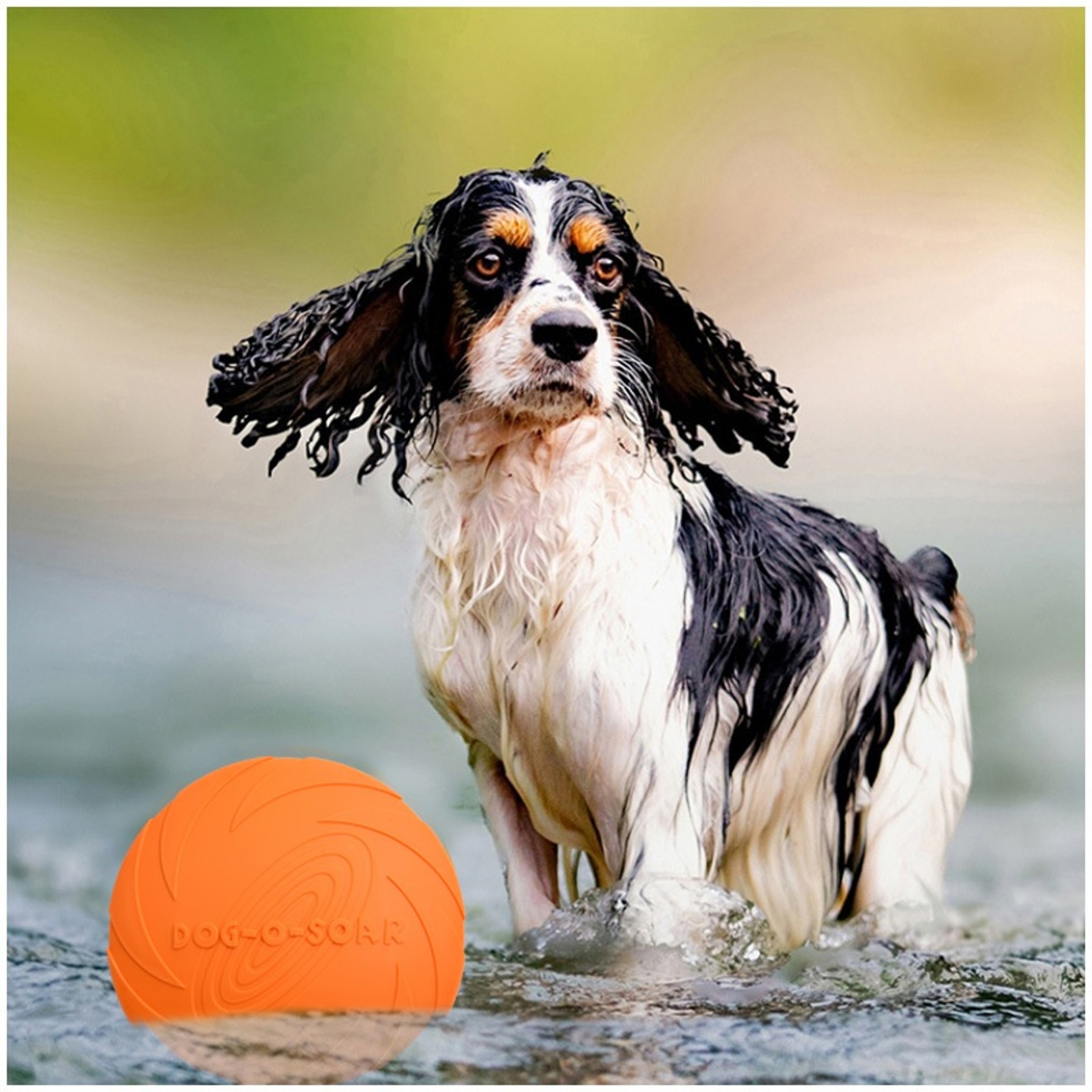 Interactive Silicone Flying Disc For Dogs And Cats Chew Resistant Pet Toy For Training  Fun 4