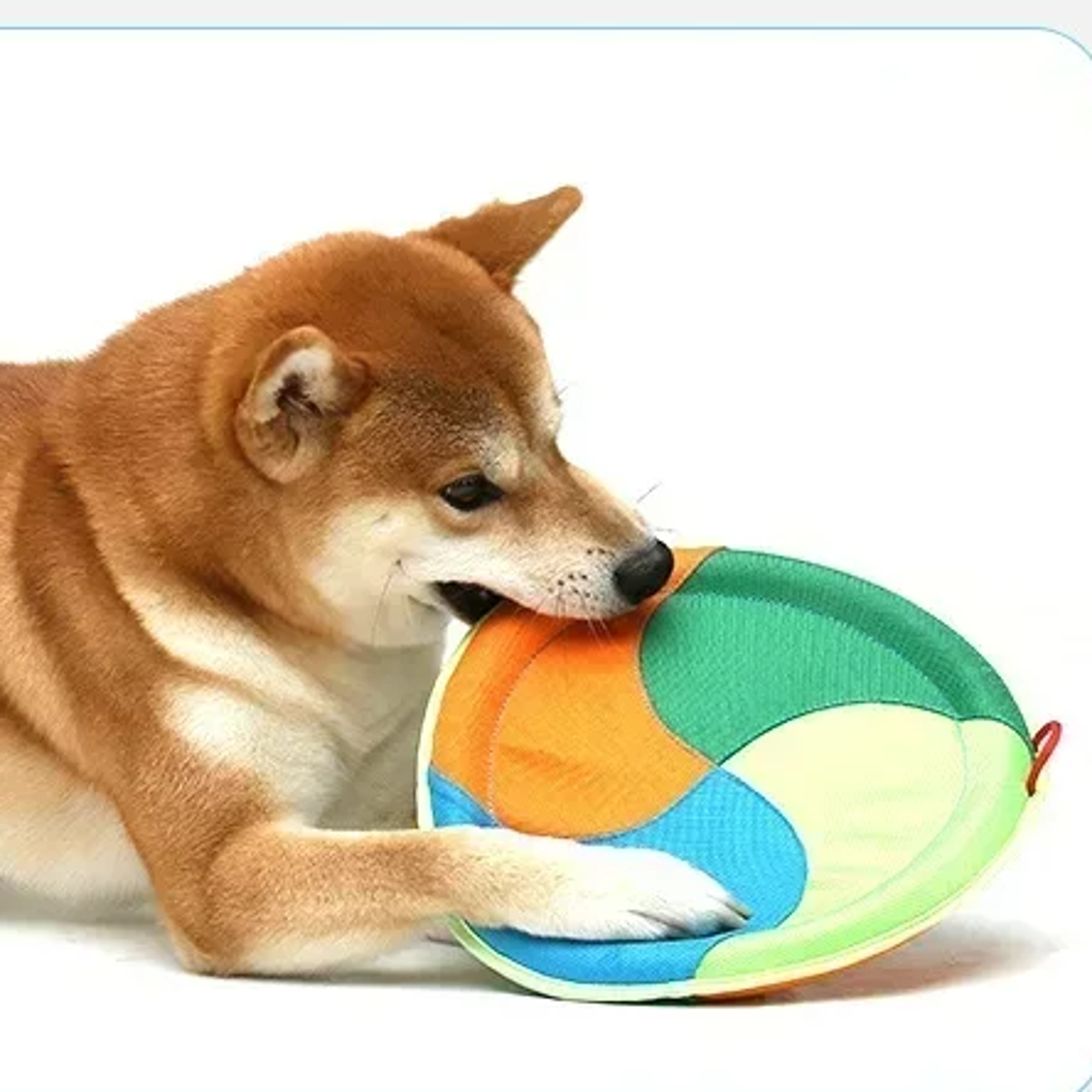 Pet Flying Discs Toys Linen Small Medium Large Dog Darts Tug UFO Training Interactive Toy Puppy Fetc
