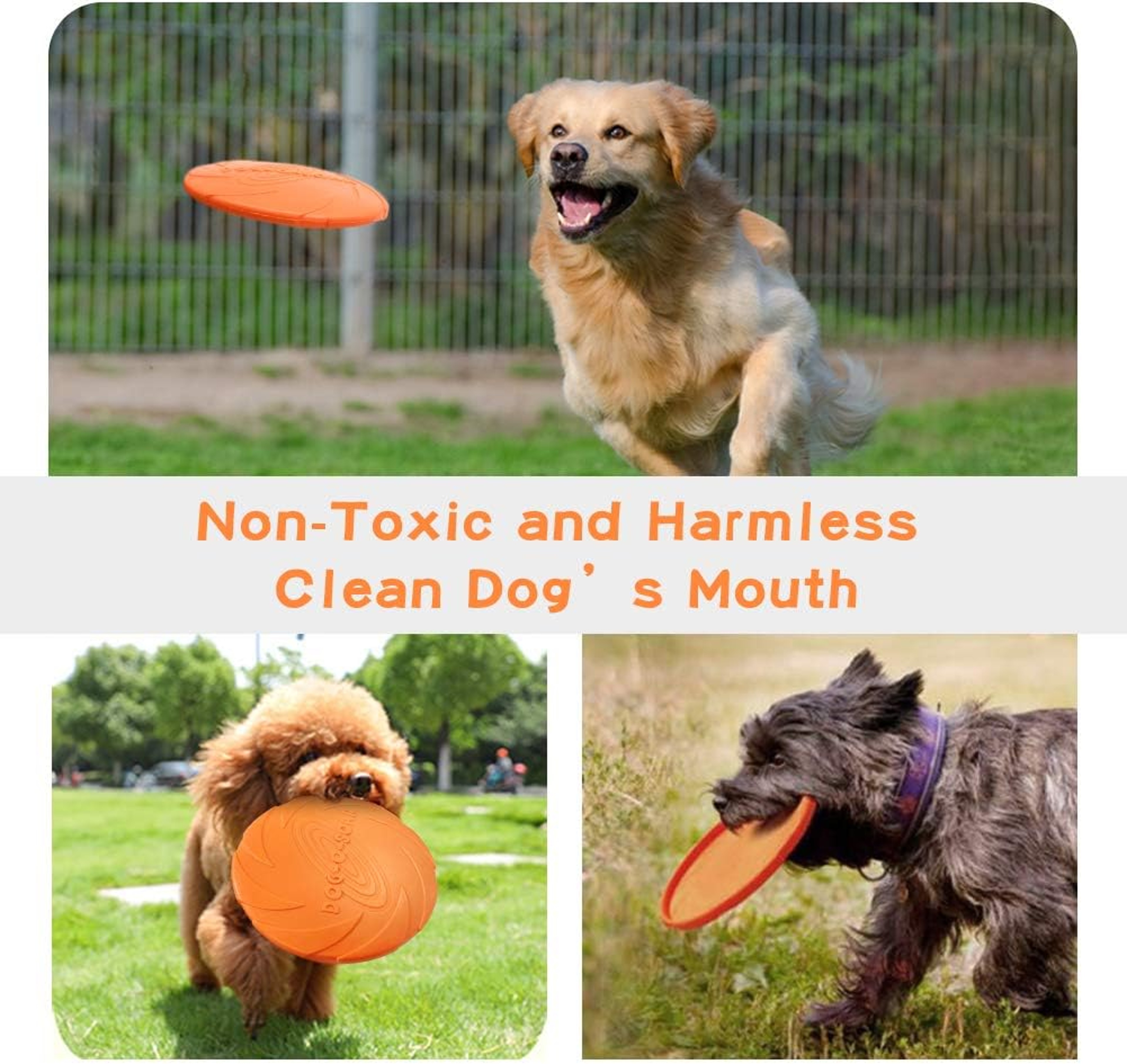 Active Fetch Rubber Dog Frisbee Toy for Medium and Large Dogs – view 4