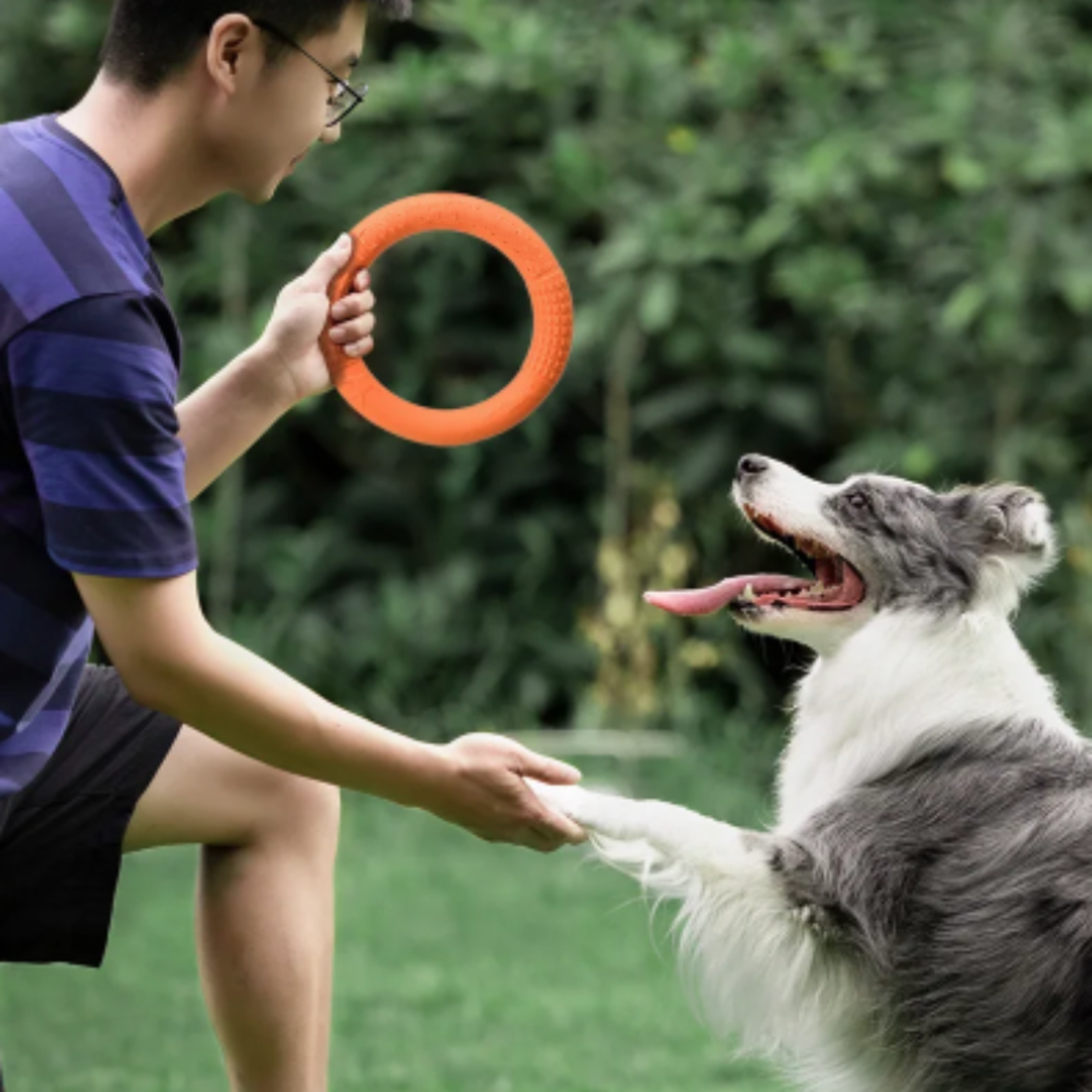 Floating Dog Ring Toy for Fetch and Tug Bite Resistant TPR Training Ring – view 1