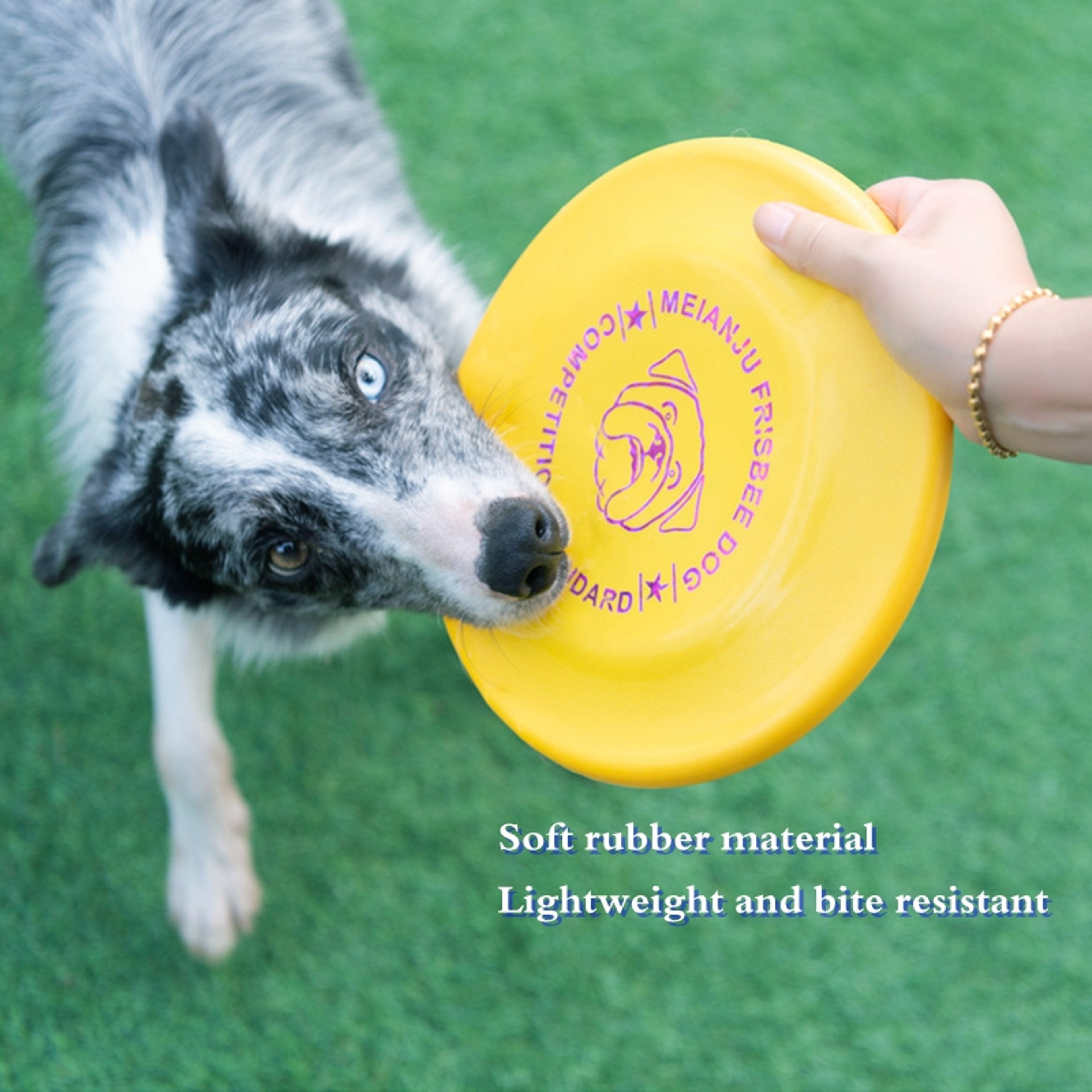 Soft Silicone Dog Frisbee For Training And Fetch 3