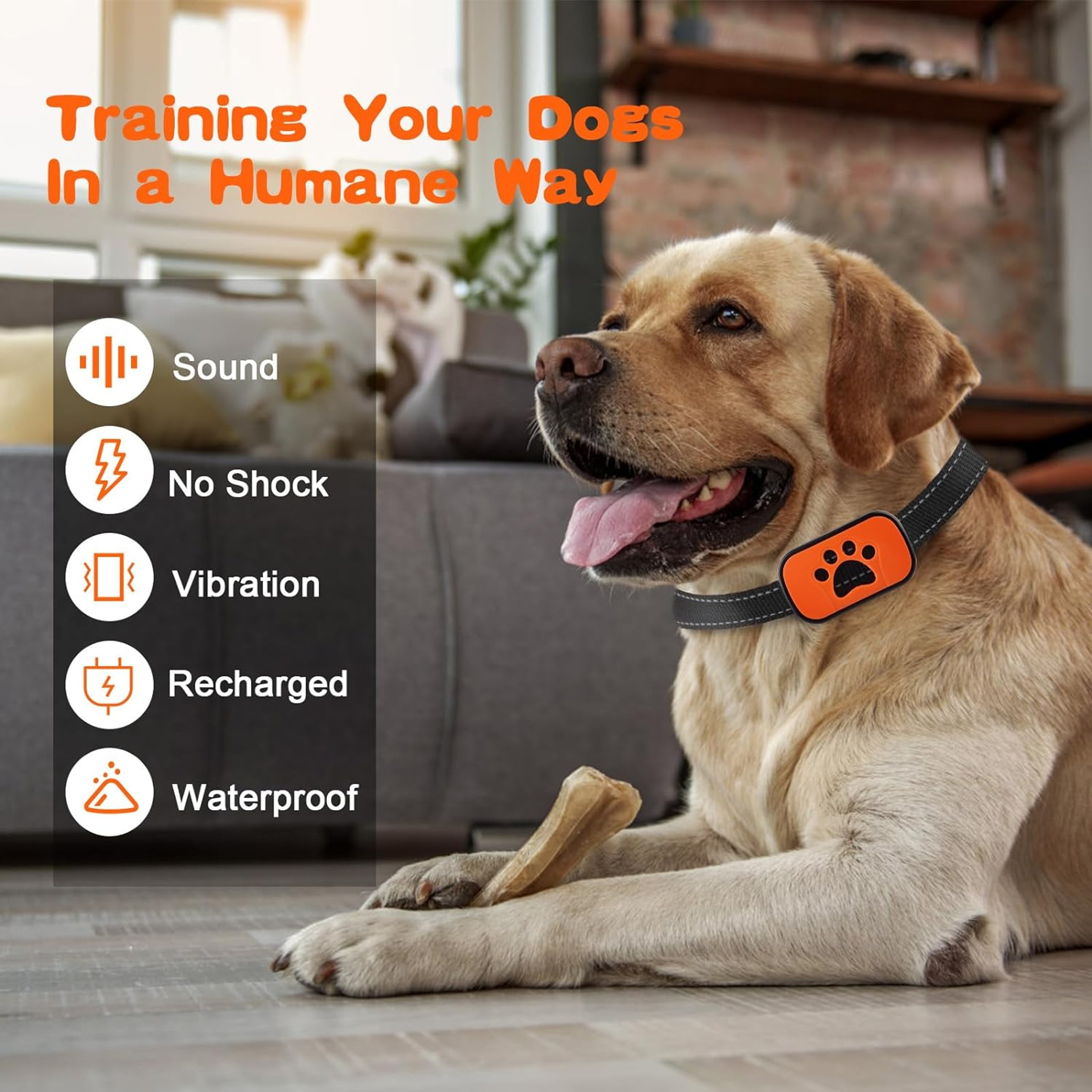 Rechargeable Anti Bark Collar For Dogs With Vibration And Automatic Bark Control 1