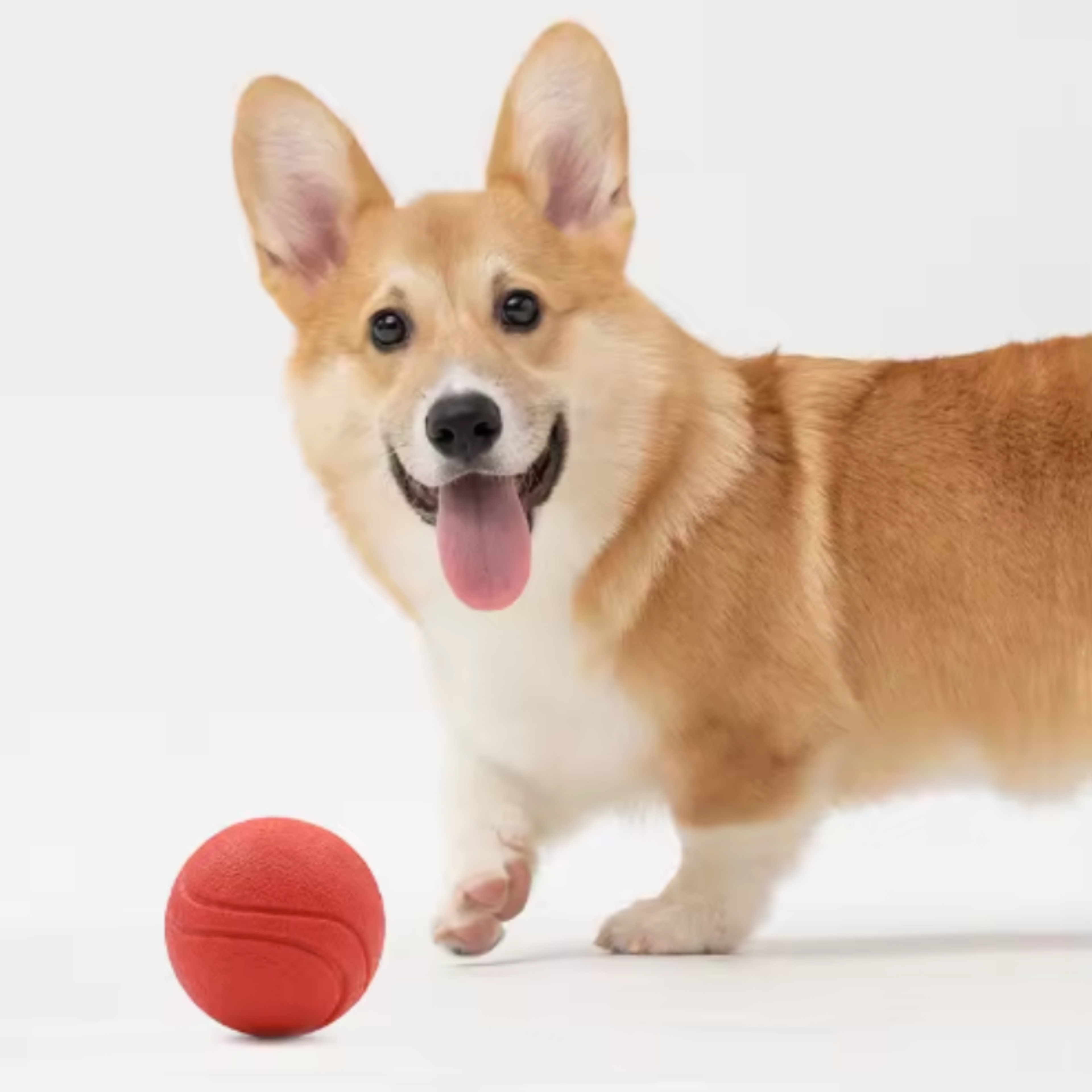 Durable Rubber Dog Ball for Aggressive Chewers Fetch Toy – view 4