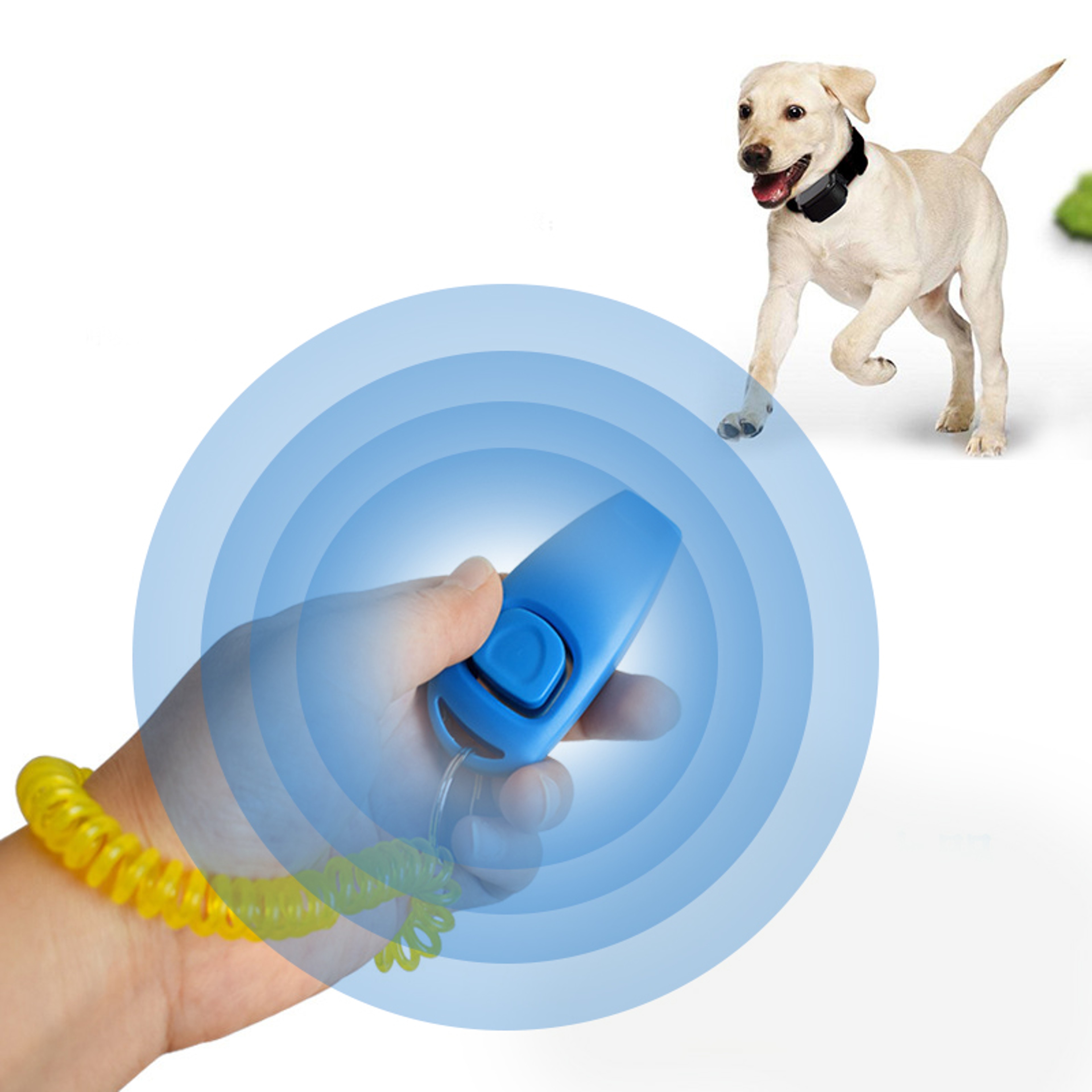 Dog Training Clicker  Dog Whistle With Key Ring For Recall And Obedience 2