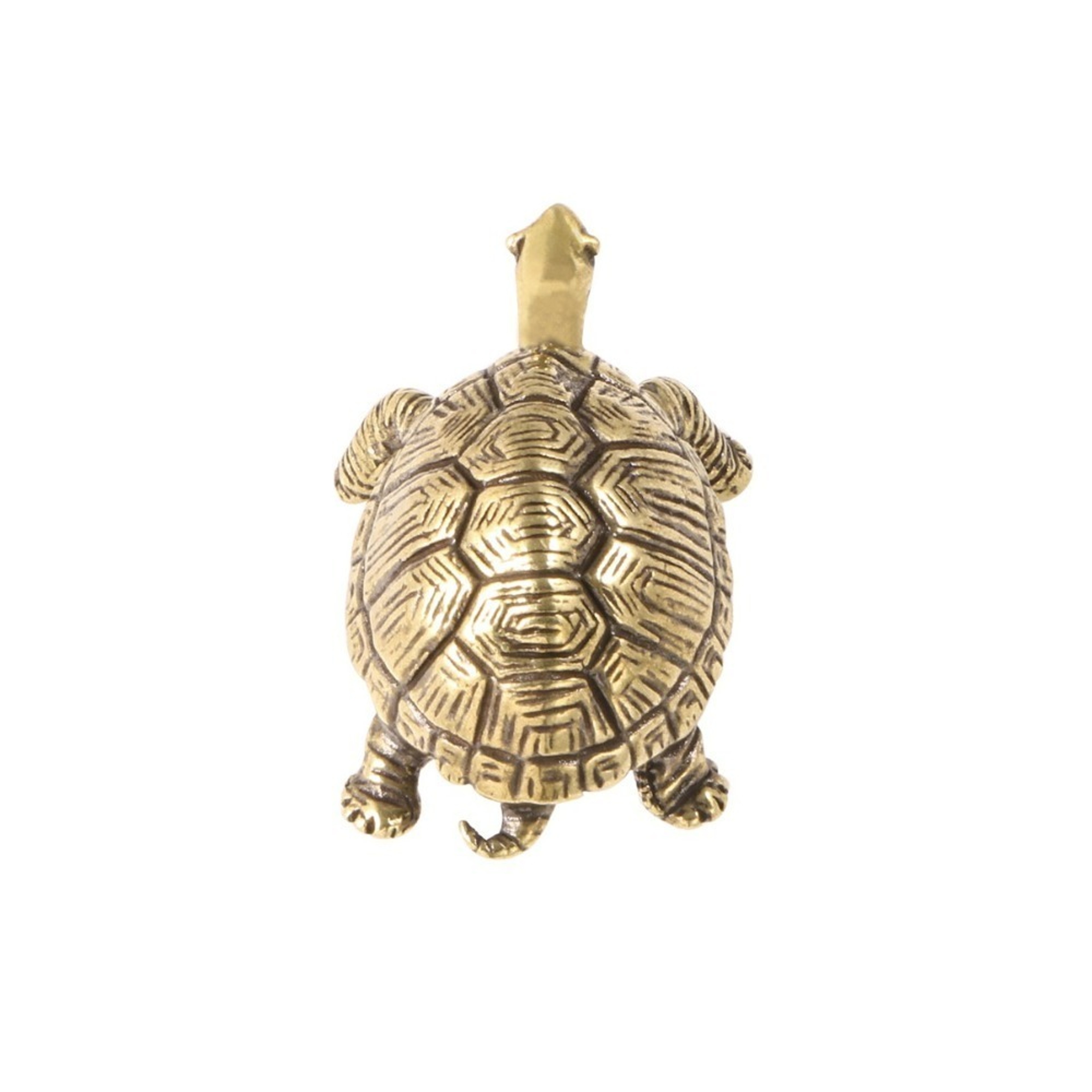 Vintage Turtle Cabinet Knob Brass Gold Drawer Pull – view 8