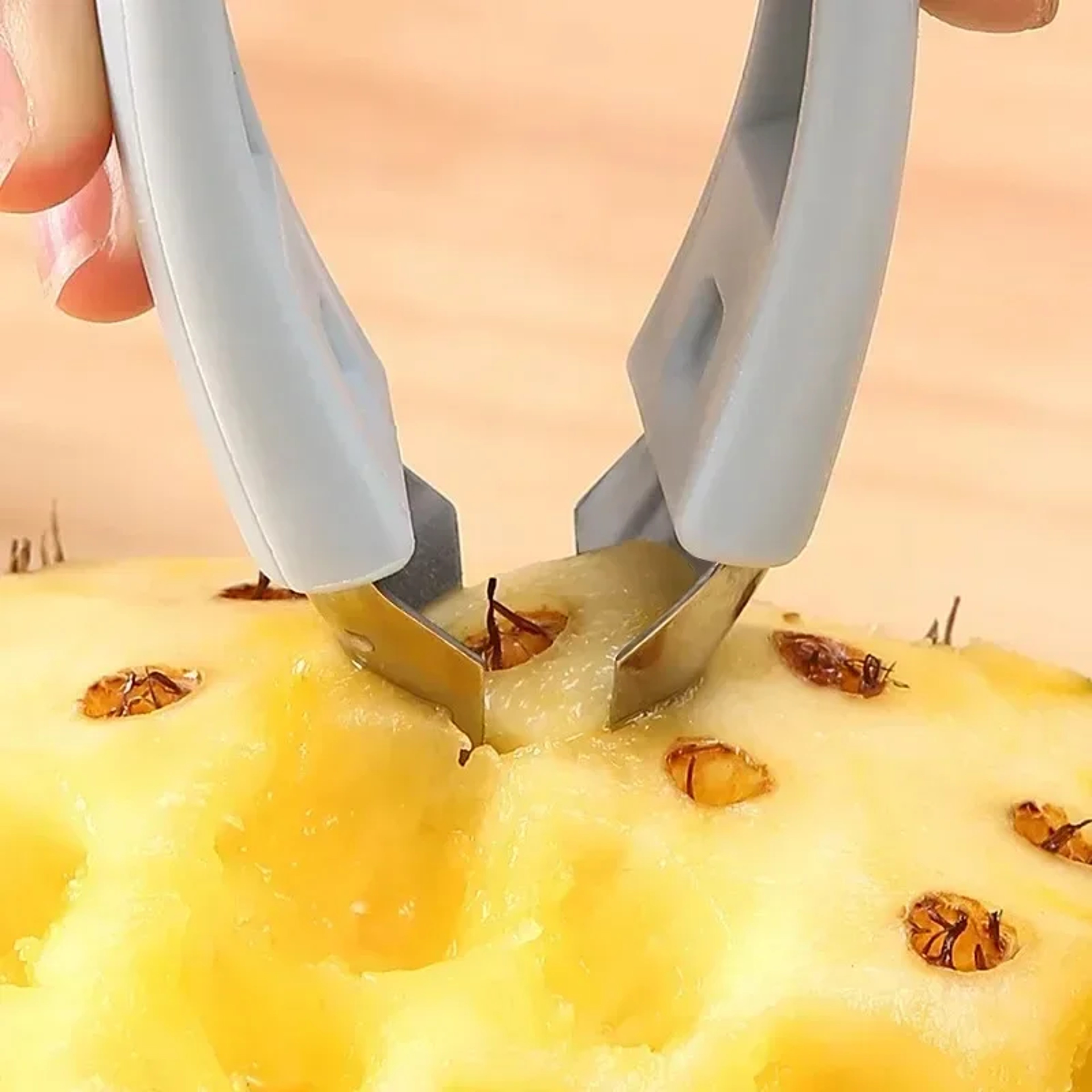 Stainless Steel Pineapple Corer and Fruit Corer Tool – view 3