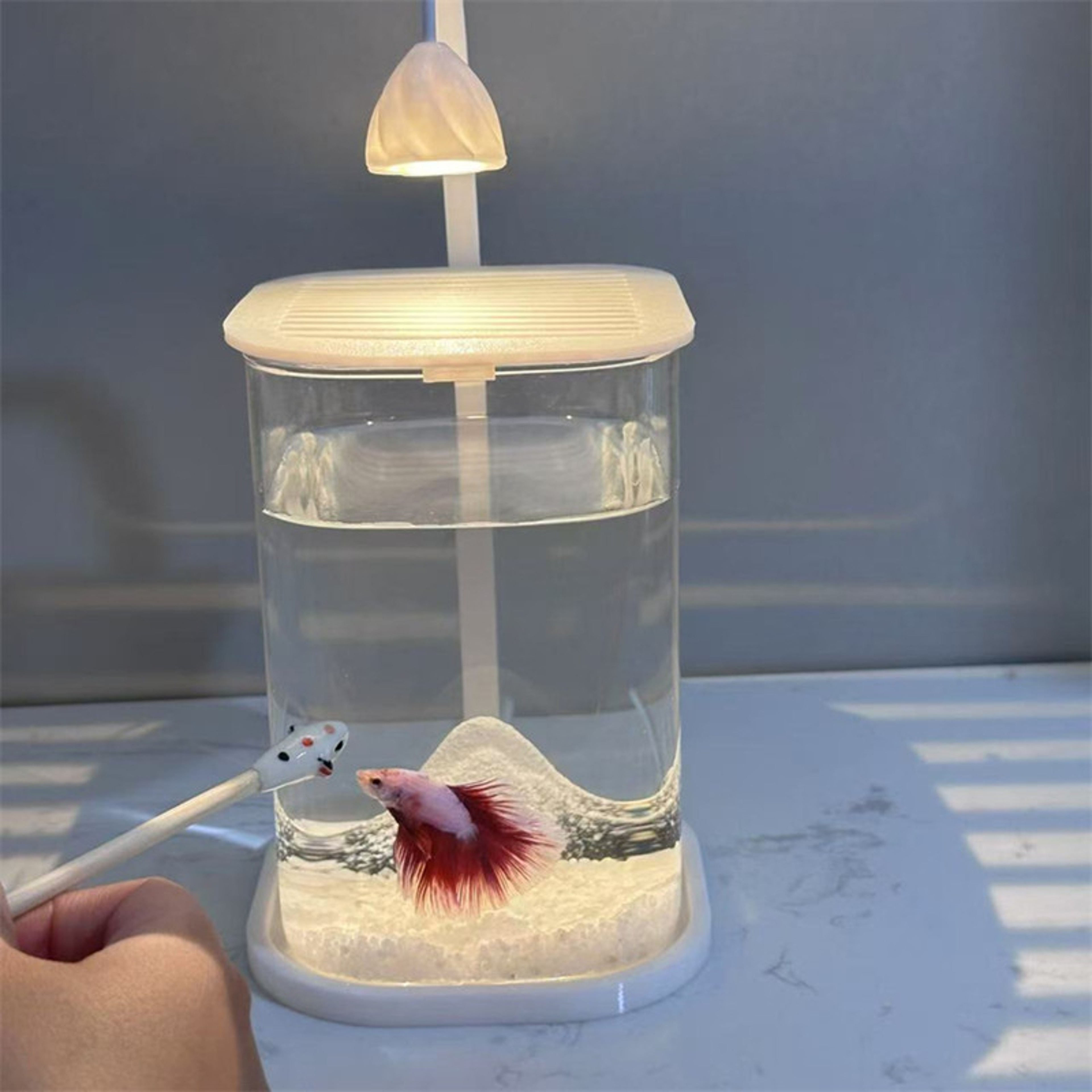 Mini Desktop Aquarium With LED Light For Betta Fish  Kids 4