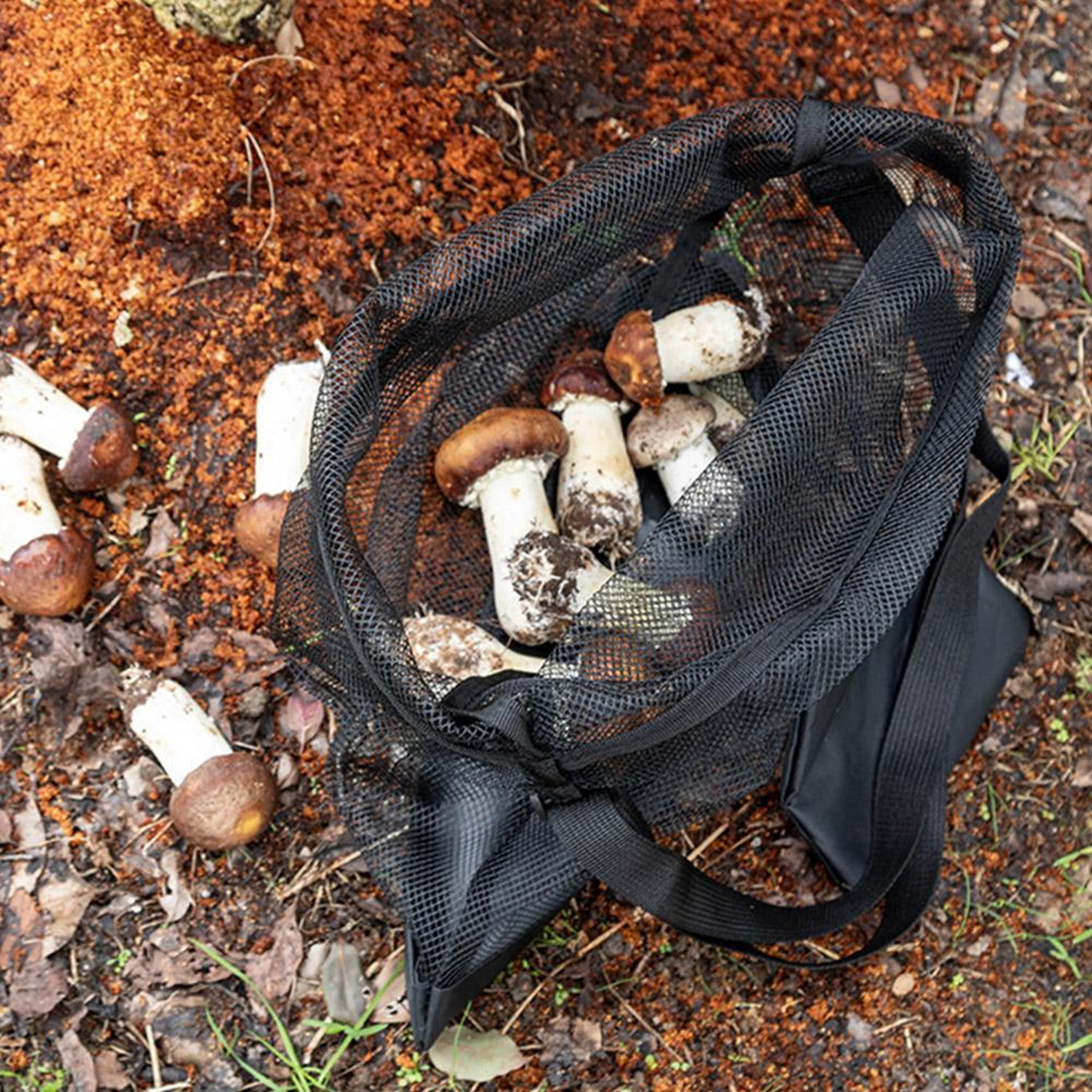 Mesh Mushroom Foraging Bag with Adjustable Strap Harvest Pouch for Outdoor Picking – view 5