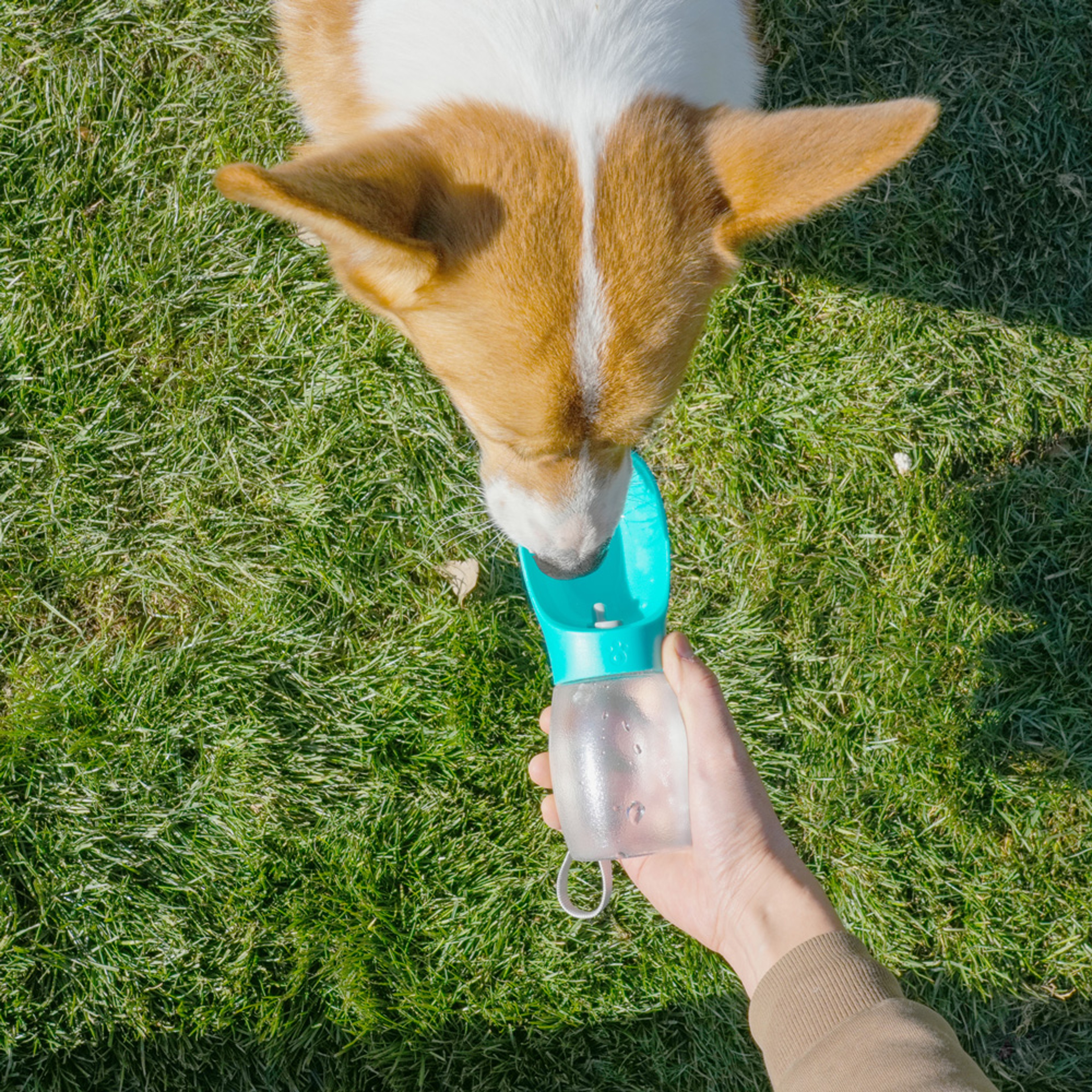 Portable Dog Water Bottle Leakproof Pet Travel Water Dispenser With Drinking Bowl 4