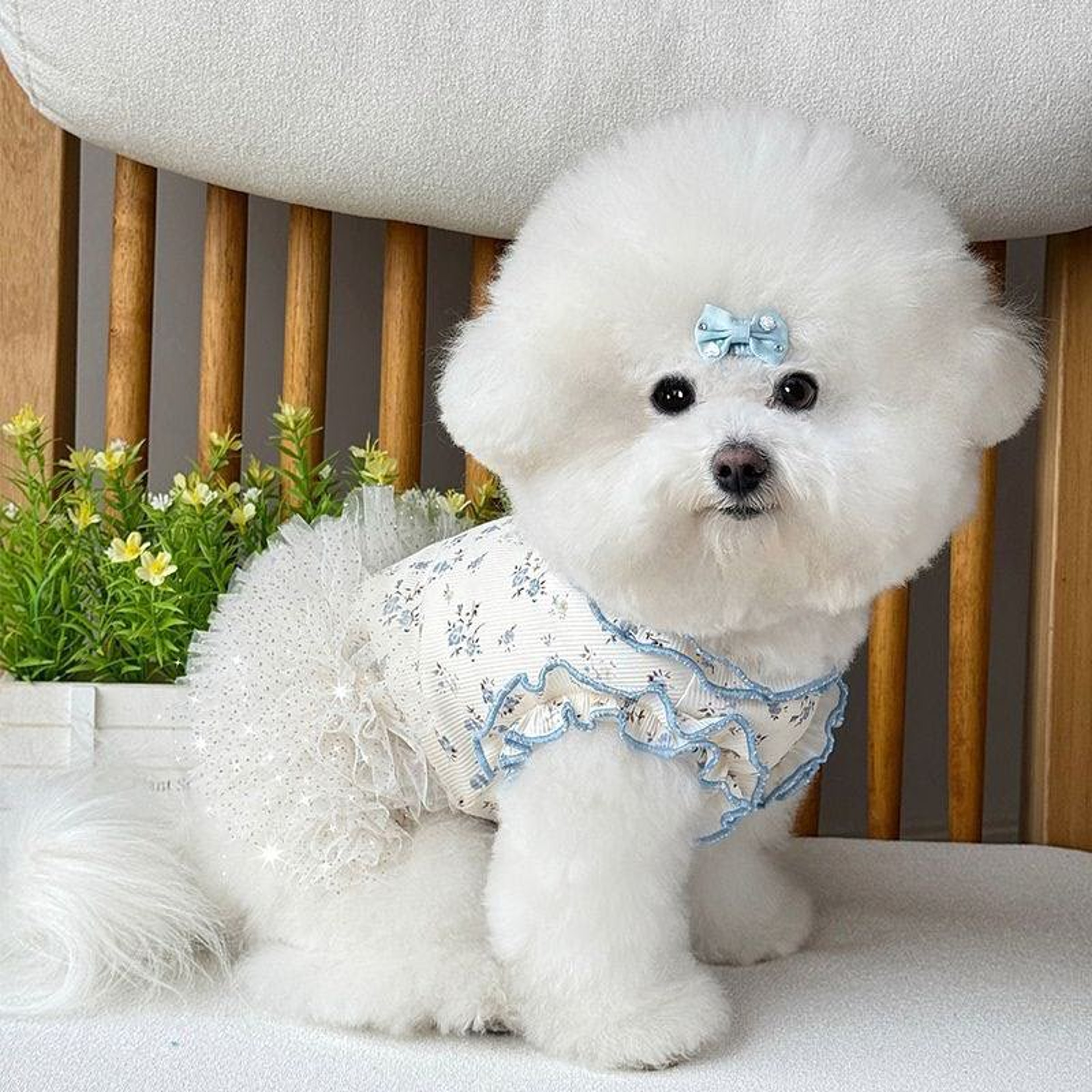 Cute Dog Dress with Pink Bow Cartoon Print for Small Dogs & Cats Summer Pet Outfit – view 6