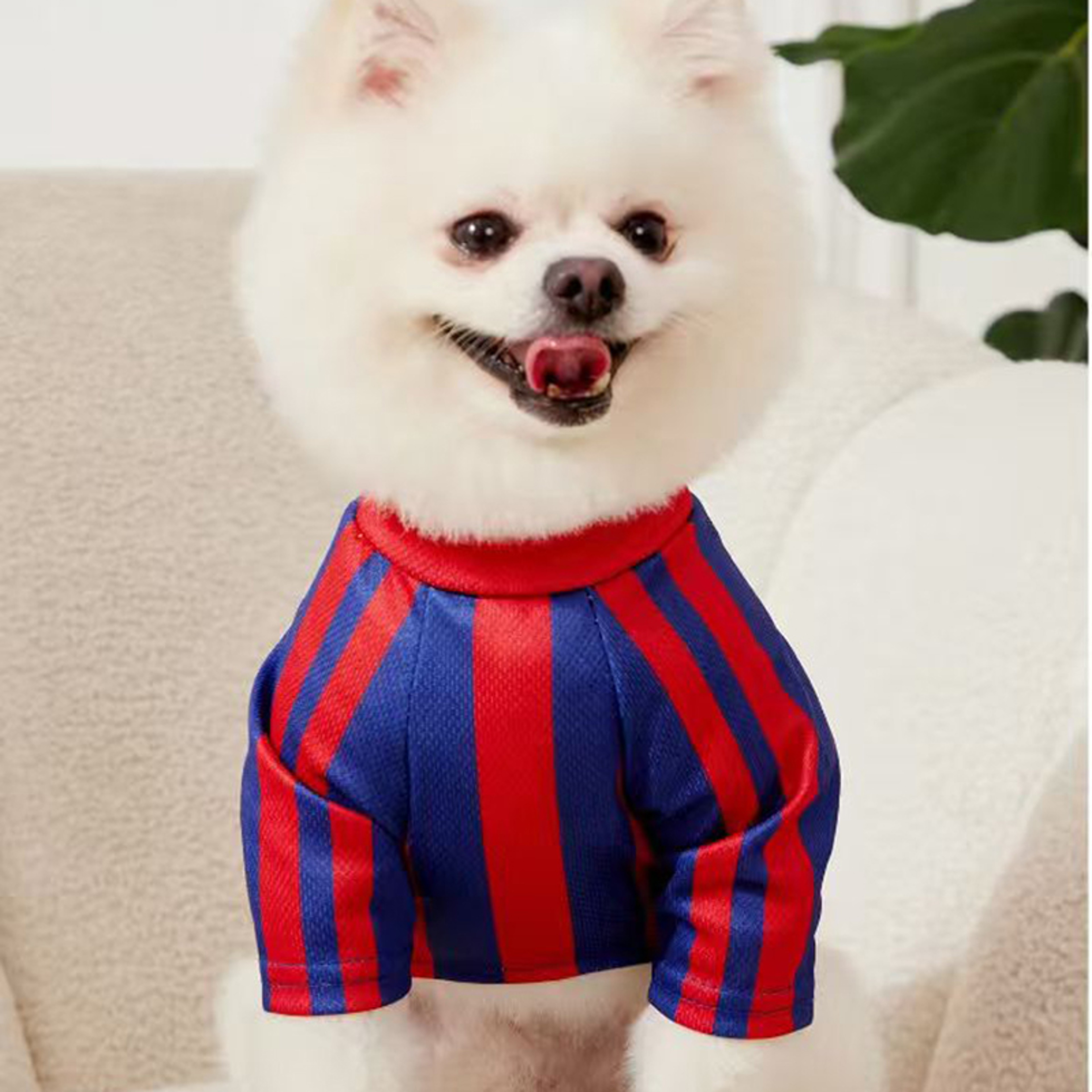 Woof Dog Jersey Breathable Mesh Summer Sports Shirt for Dogs & Cats – view 2