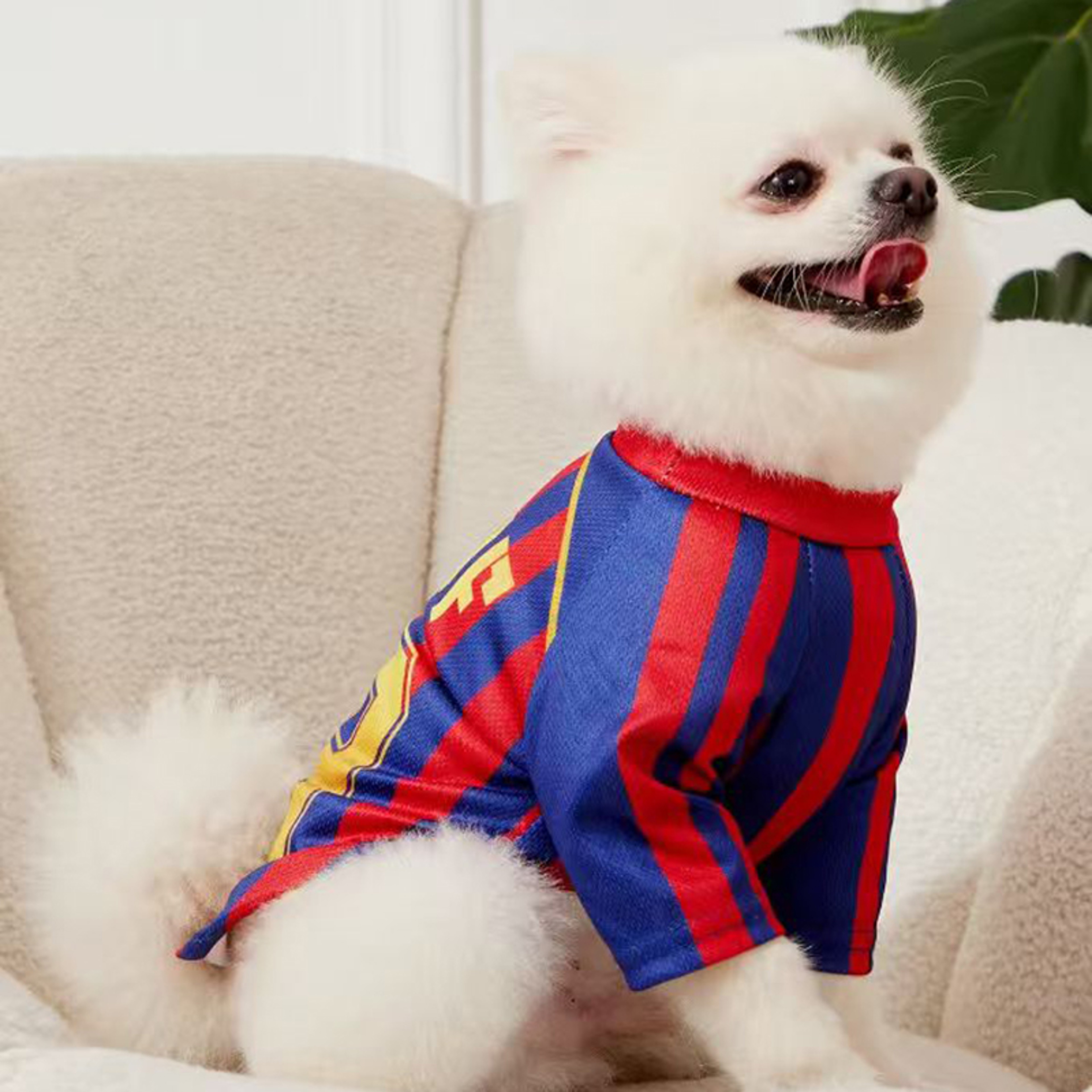 Woof Dog Jersey Breathable Mesh Summer Sports Shirt for Dogs & Cats – view 3