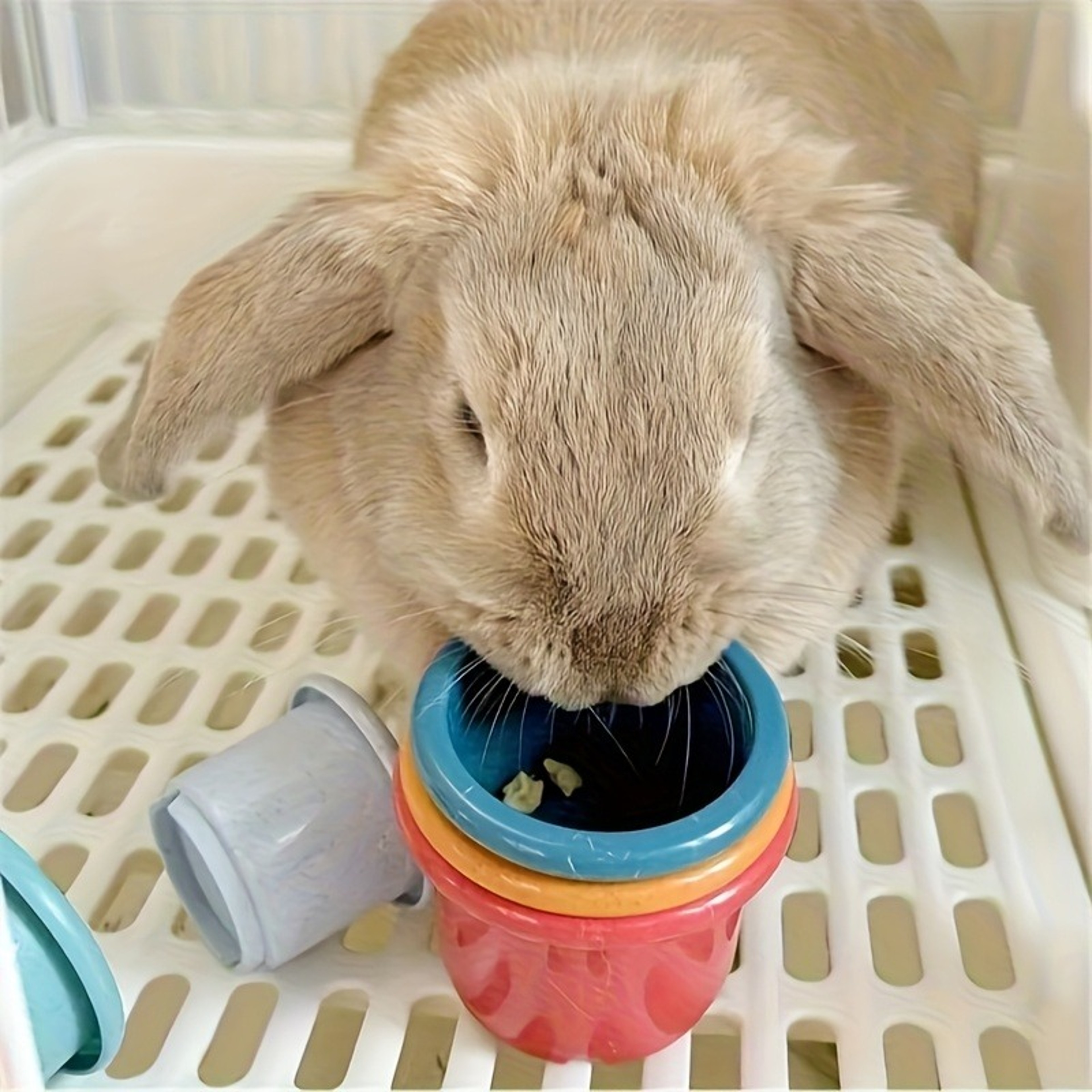 Rabbit Stacking Cups Bunny Toy Set Interactive Rabbit Enrichment Toy for Treat Hiding – view 3