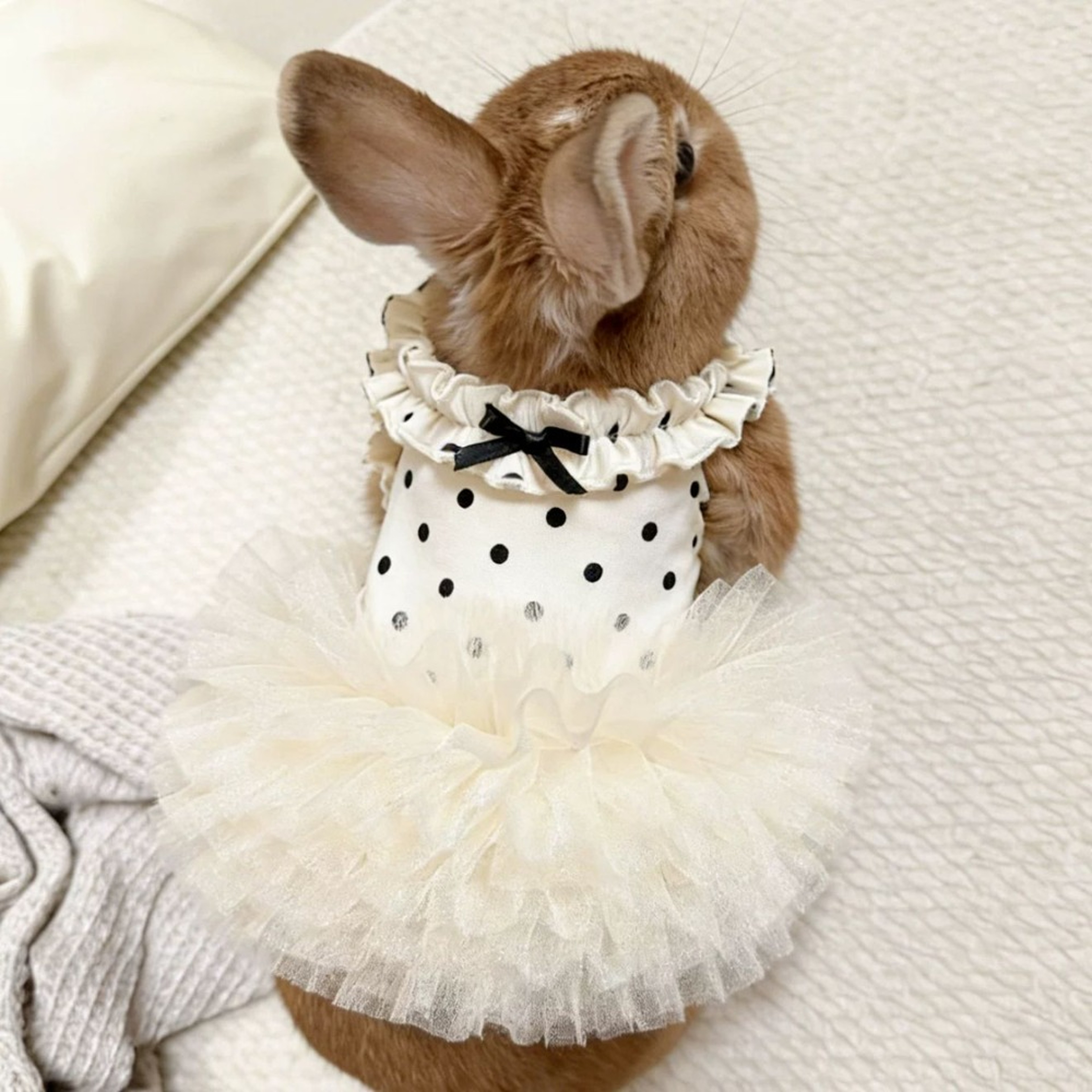 Breathable Small Dog Dress Summer Princess Tutu Dress for Puppies & Cats – view 5