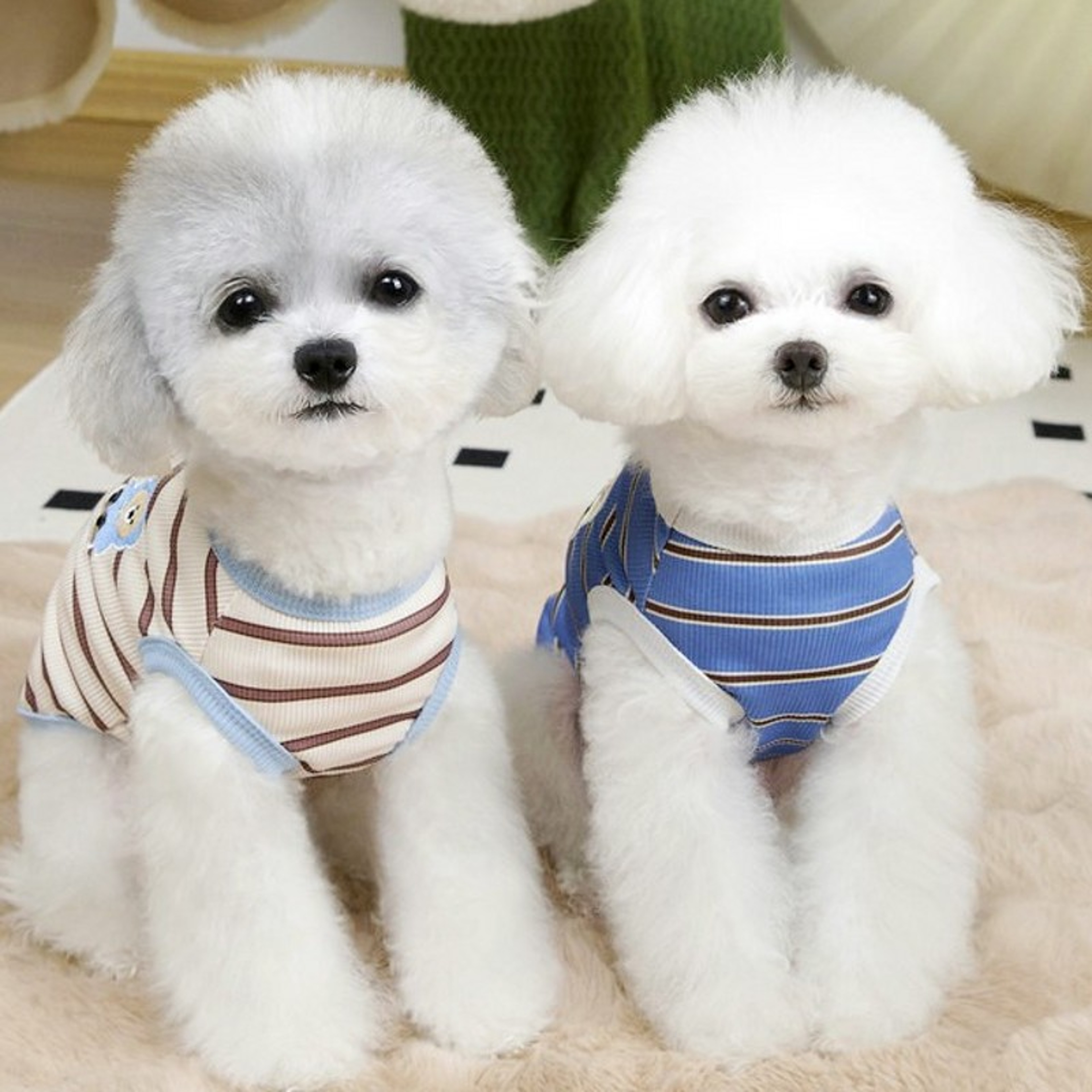 Breathable Dog Cooling Vest Striped Summer Dog Shirt for Small Dogs & Cats – view 3