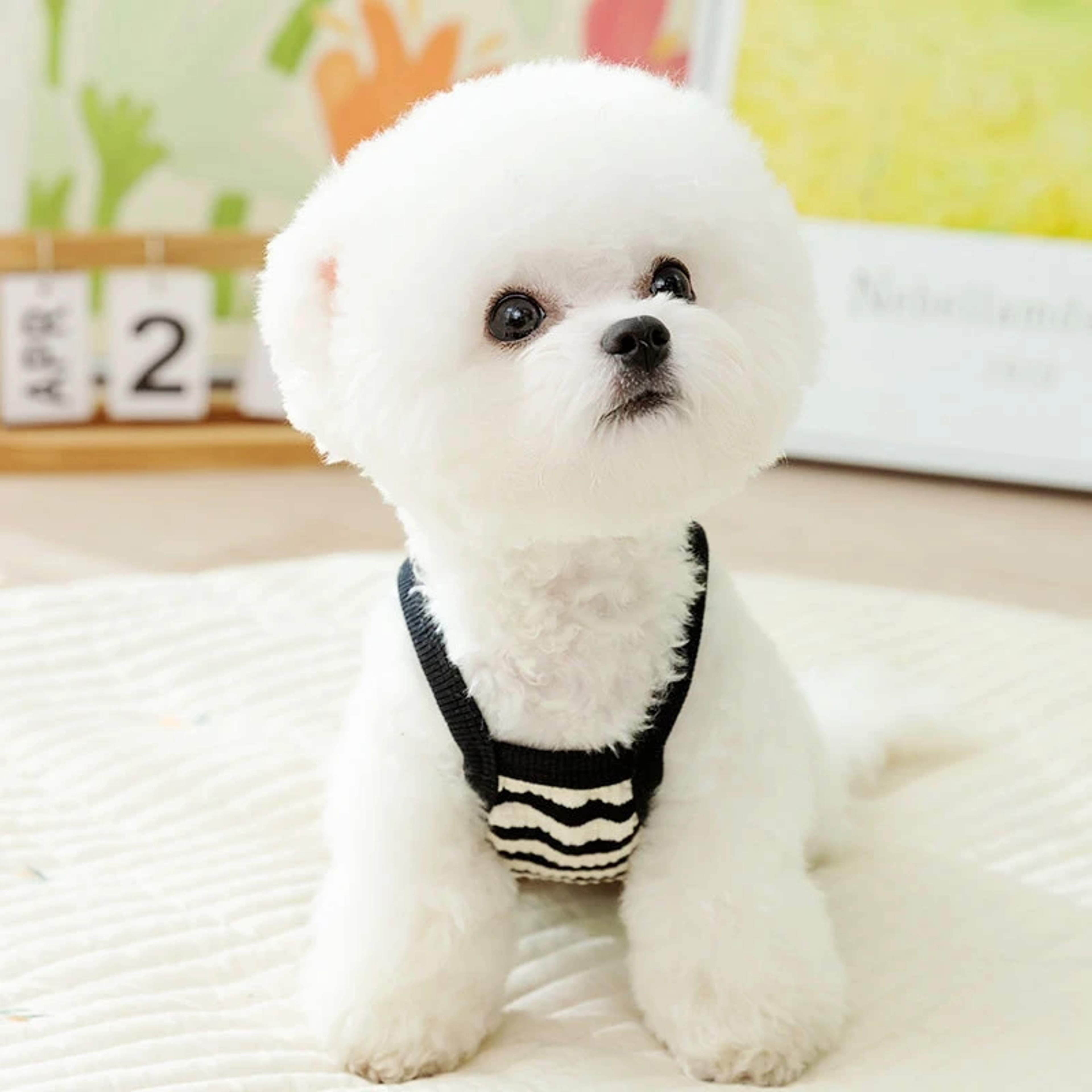 Striped Cotton Dog Vest Breathable Small Dog Shirt for Puppies & Chihuahuas – view 6