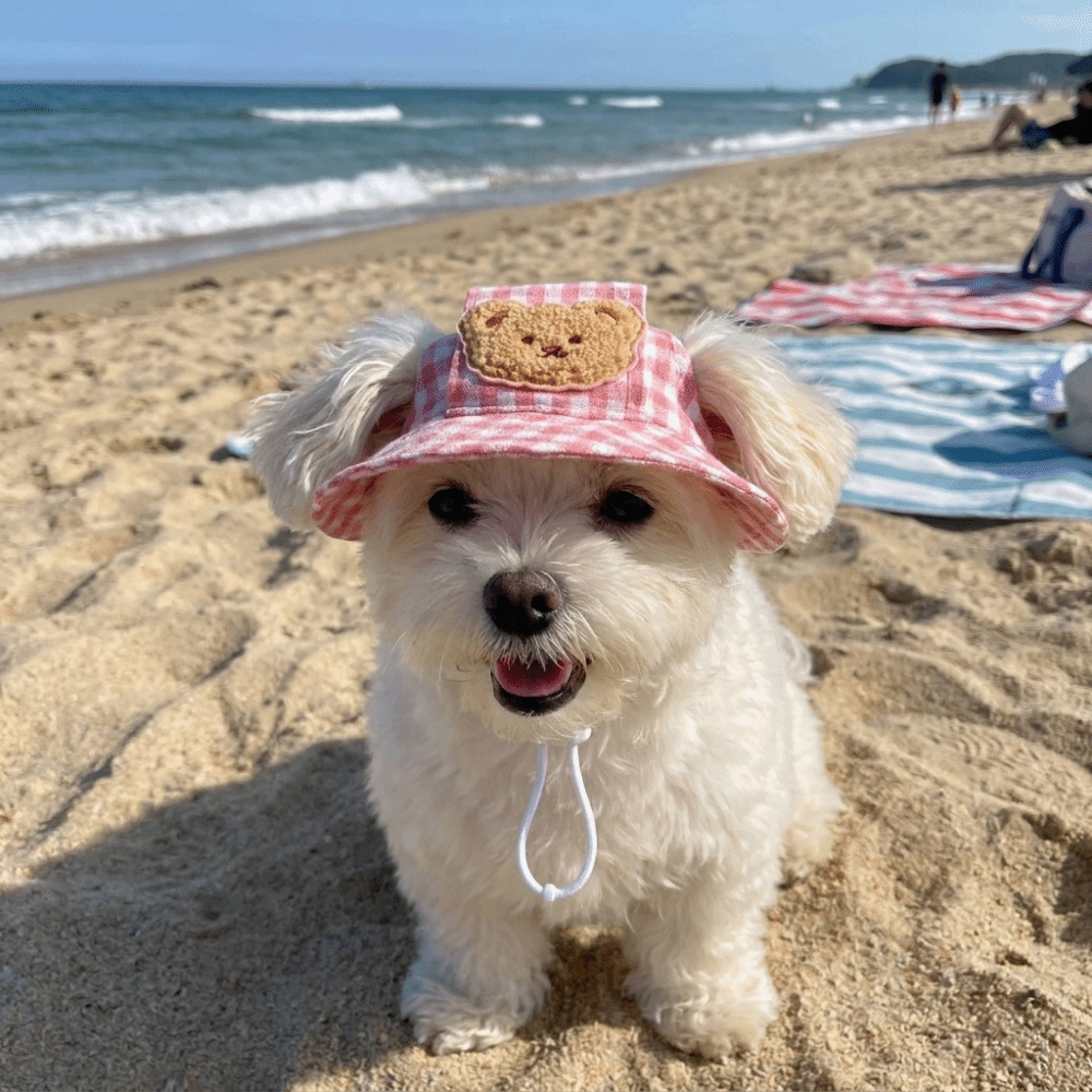 Breathable Pet Bucket Hat Adjustable Dog Sun Hat with Ear Holes Plaid Cotton Cap for Dogs & Cats – view 1