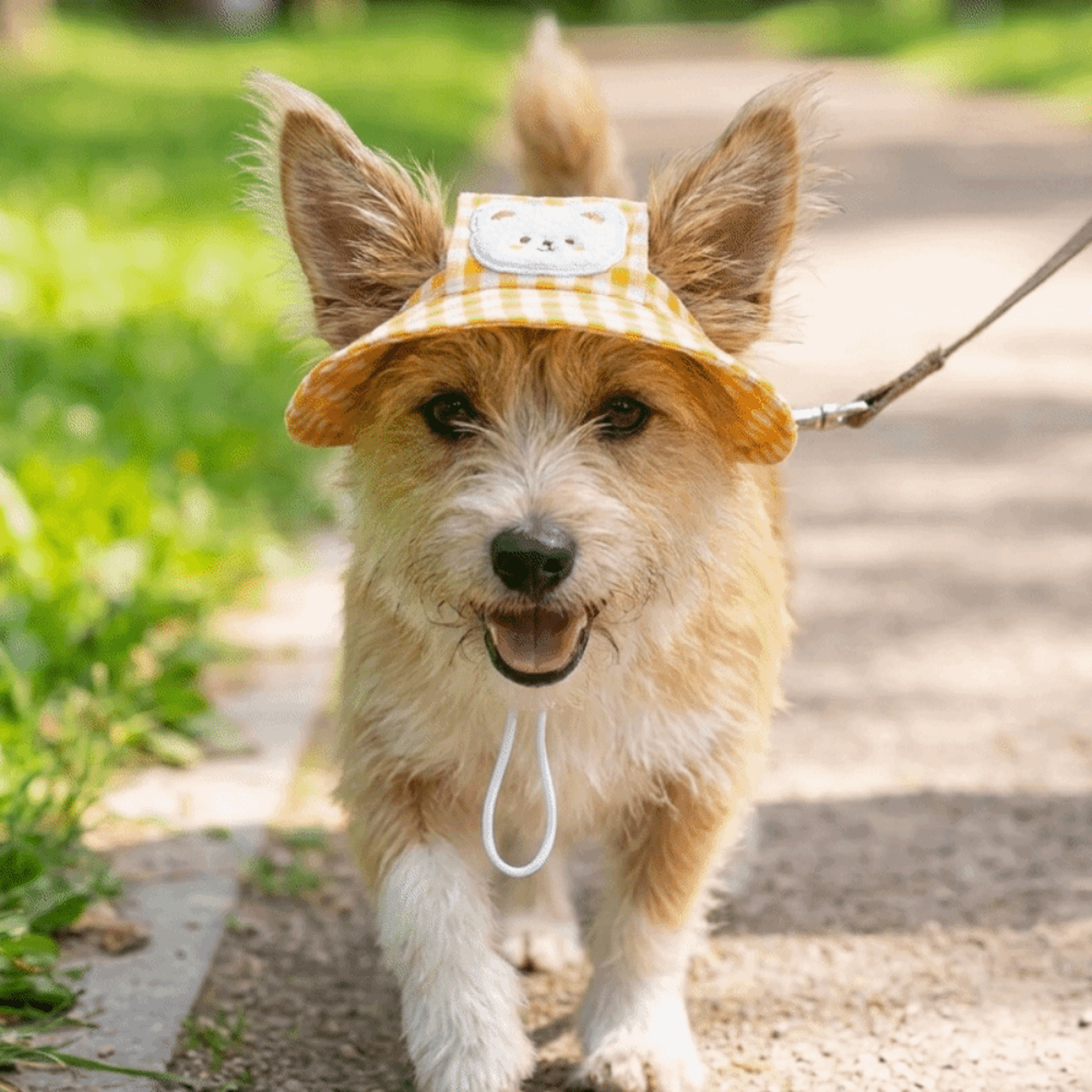 Breathable Pet Bucket Hat Adjustable Dog Sun Hat with Ear Holes Plaid Cotton Cap for Dogs & Cats – view 4