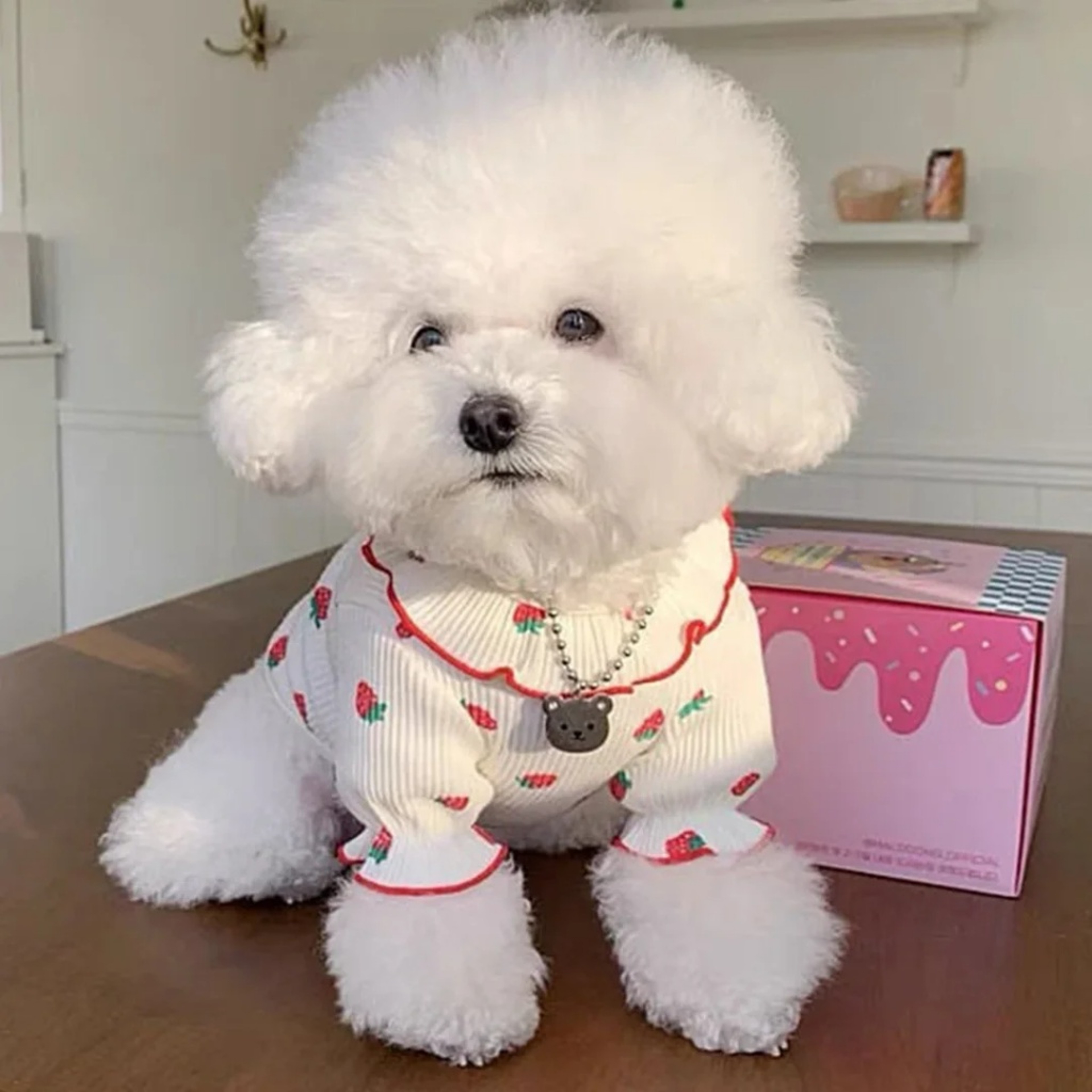 Strawberry Small Dog Clothes Summer Dog Vest with Ruffled Collar for Cats & Puppies – view 2