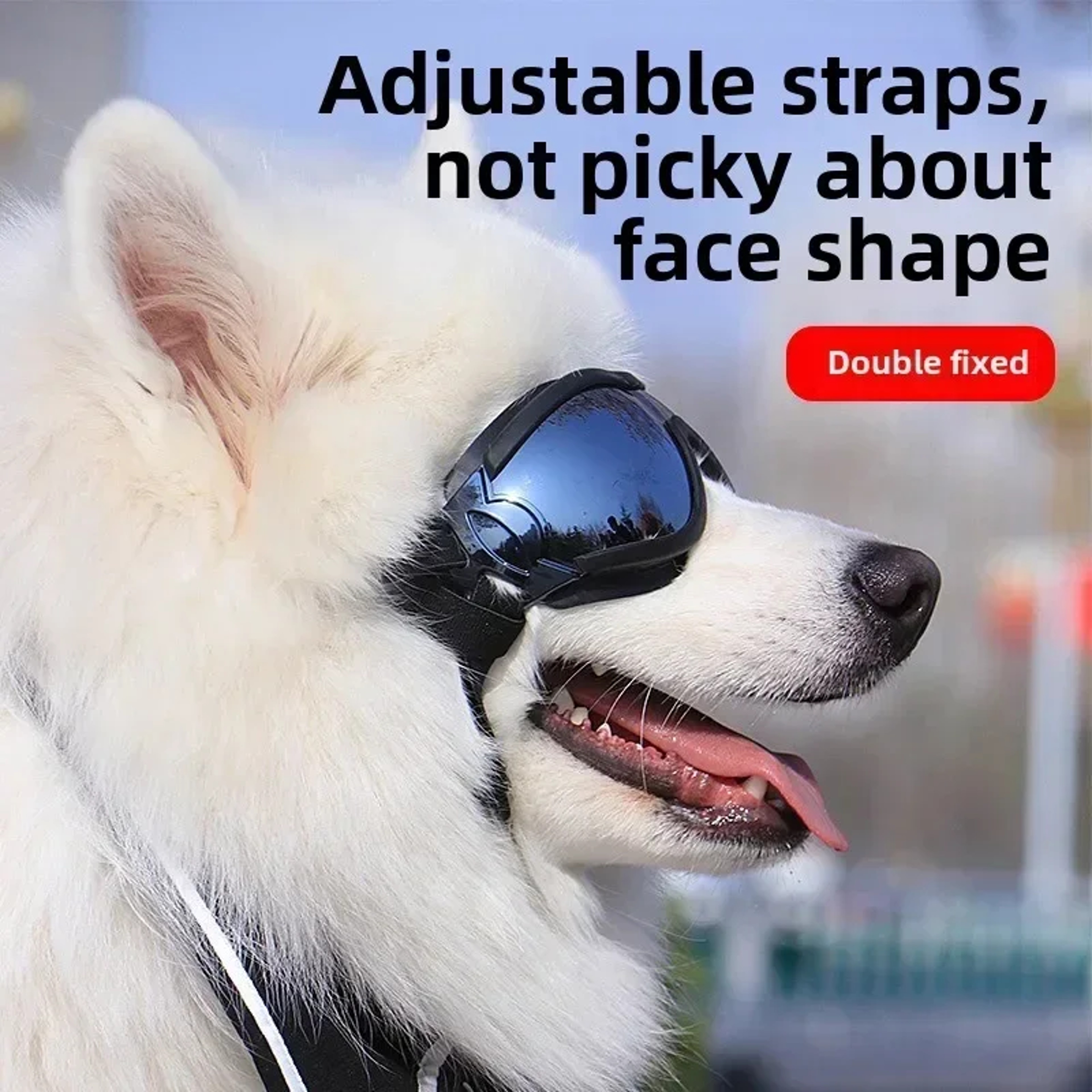 Dog Goggles Windproof Pet Eye Protection Sunglasses for Small, Medium & Large Dogs – view 3