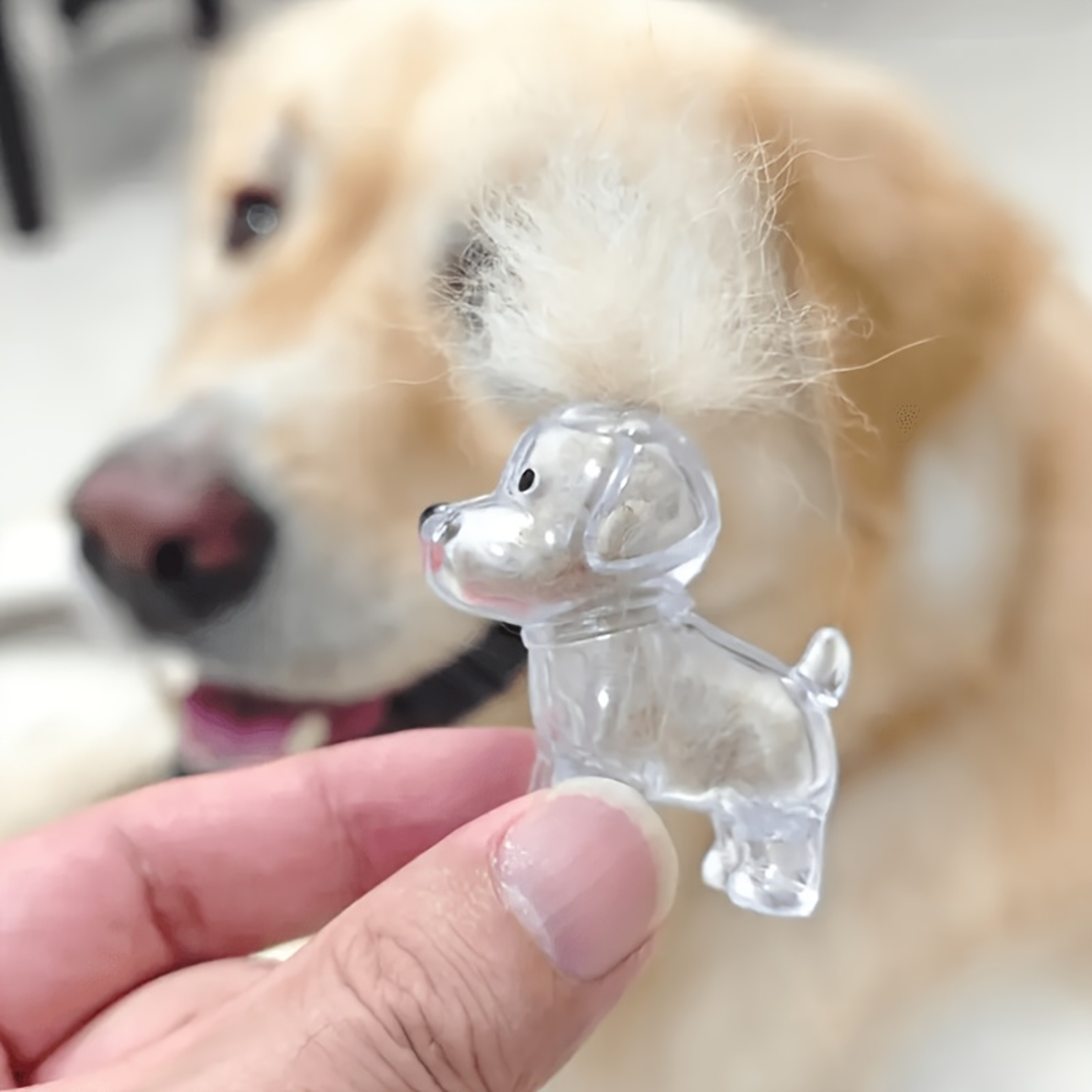 Forever Close: DIY Pet Hair Memorial Keepsake Keychain – view 6