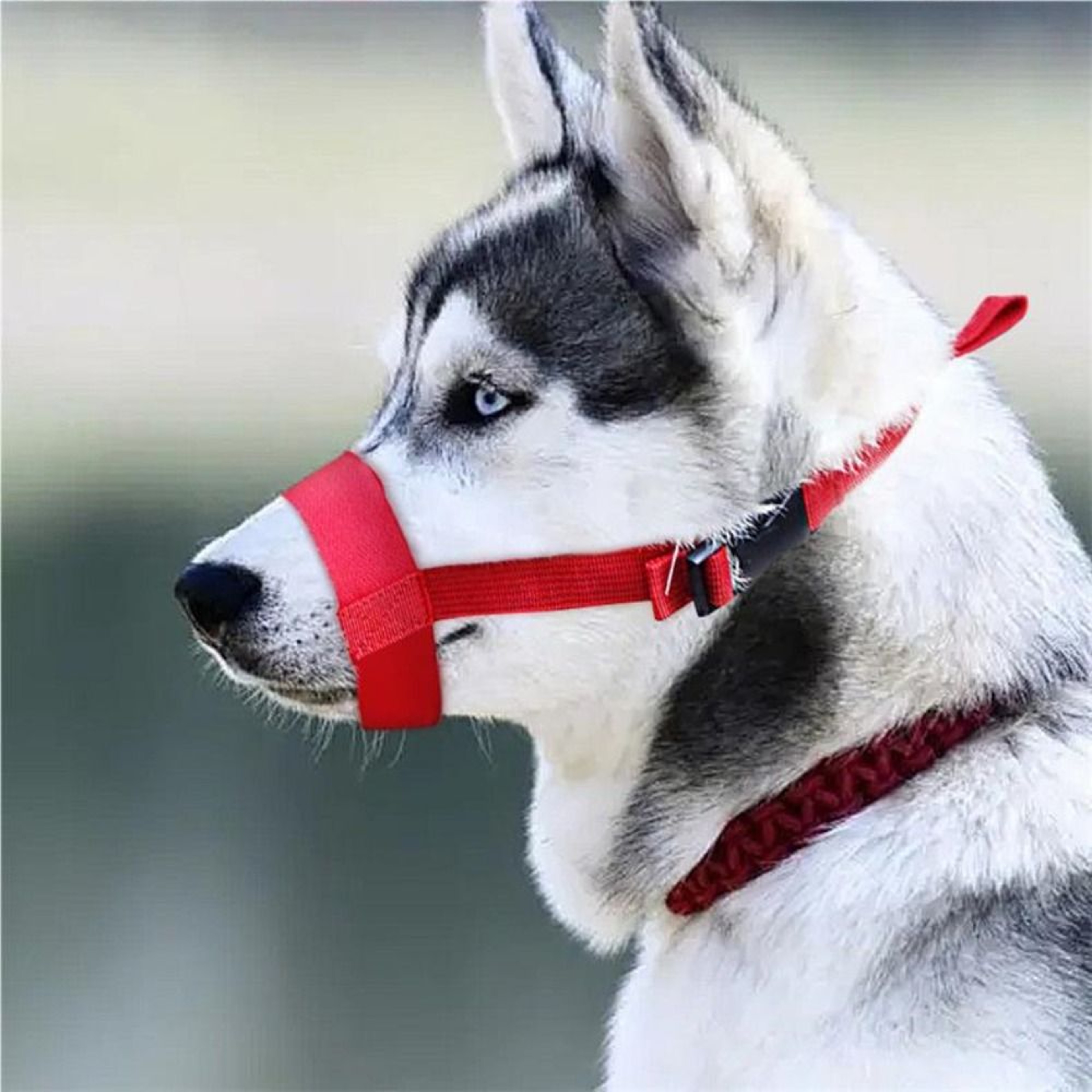 Comfort Fit Soft Breathable Dog Muzzle Adjustable Nylon Dog Muzzle for Small to Large Dogs – view 2