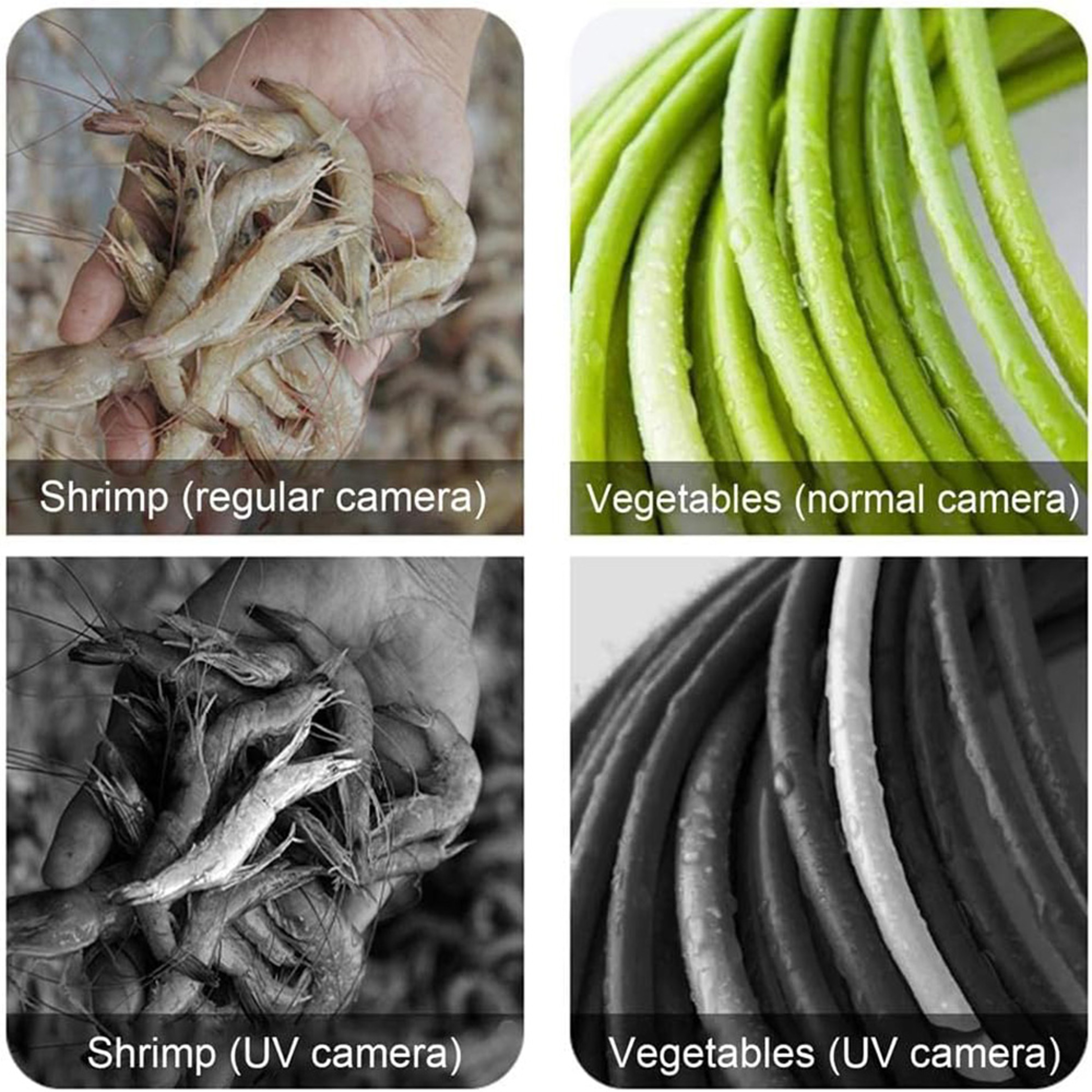Portable UV Camera for Sunscreen Detection for iPhone & Android Skin Protection Checker – view 6