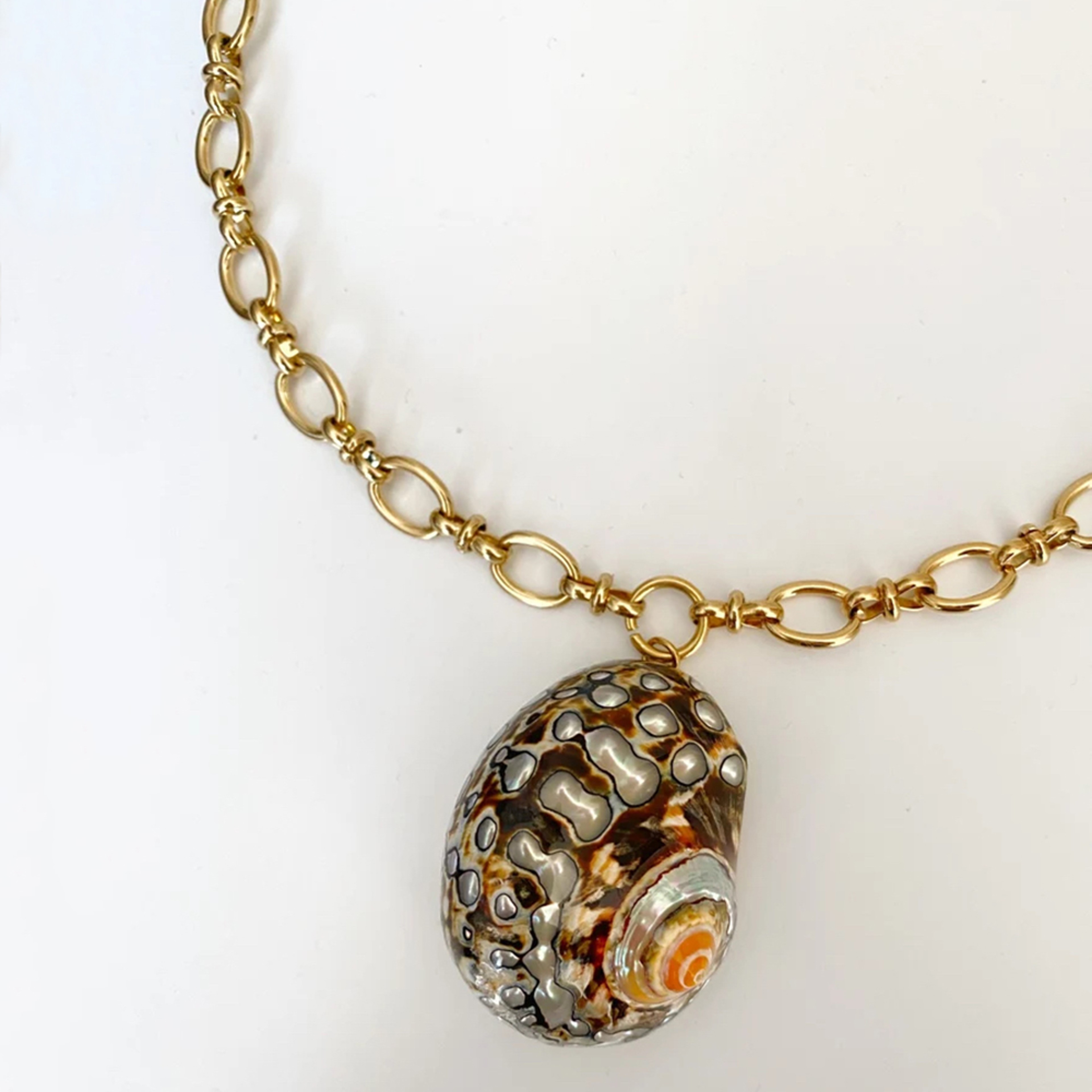 Coastal Shell Pendant Necklace with Conch Charm Stainless Steel Chain for Beach & Boho Style – view 7
