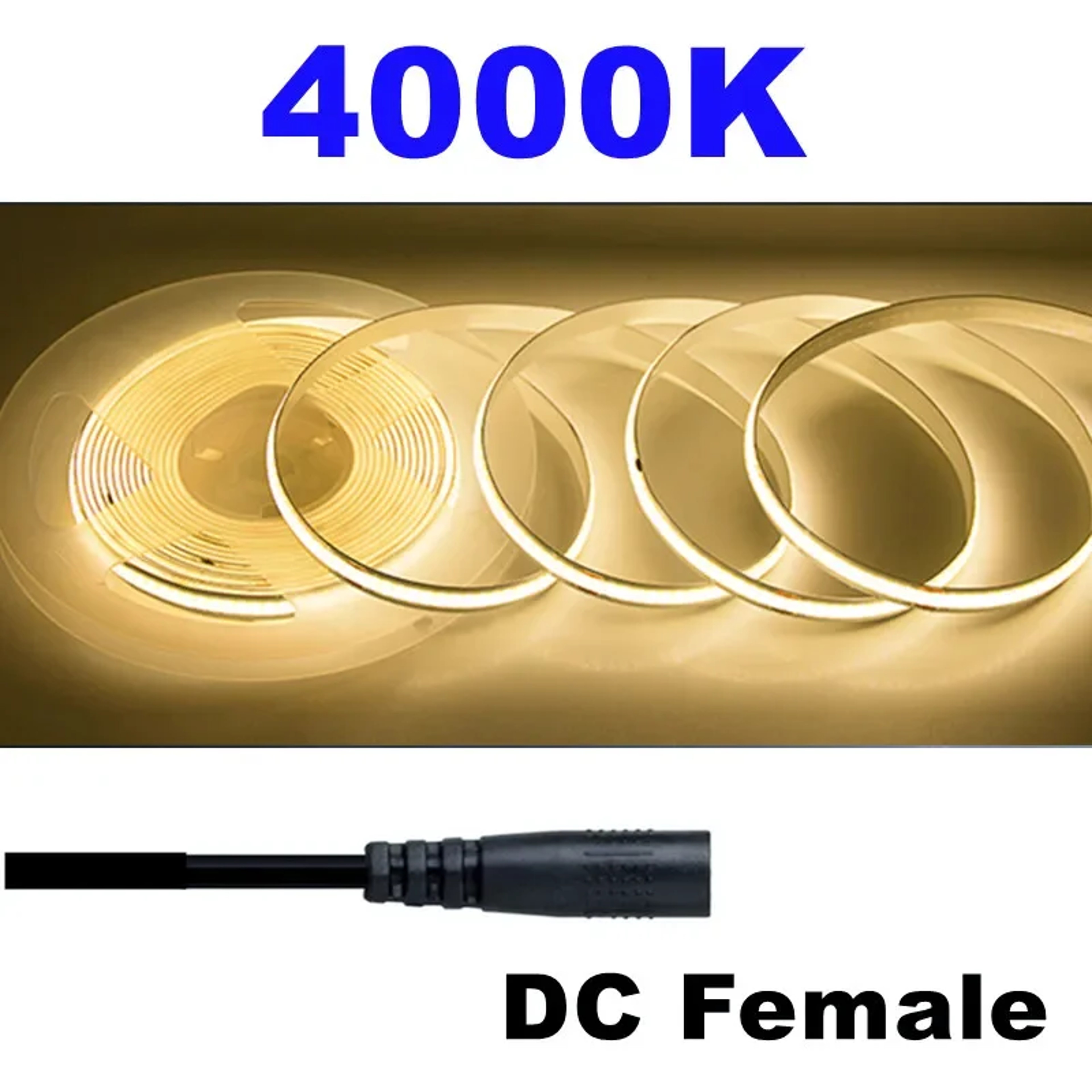 COB LED Strip Light 12V 24V High Density Flexible Tape Light 8
