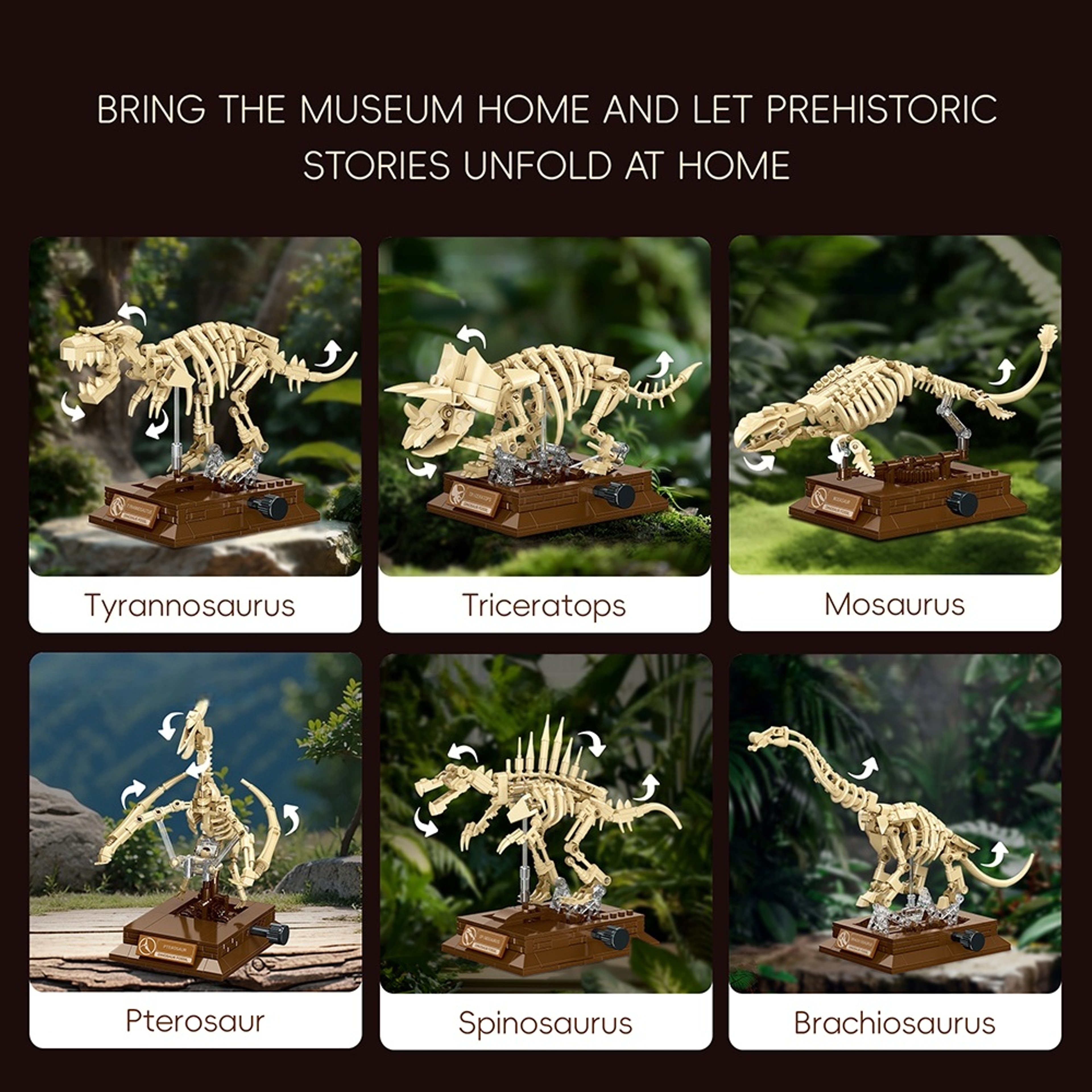 Pterosaur Fossil Building Block Model Educational STEM Construction Toy 5