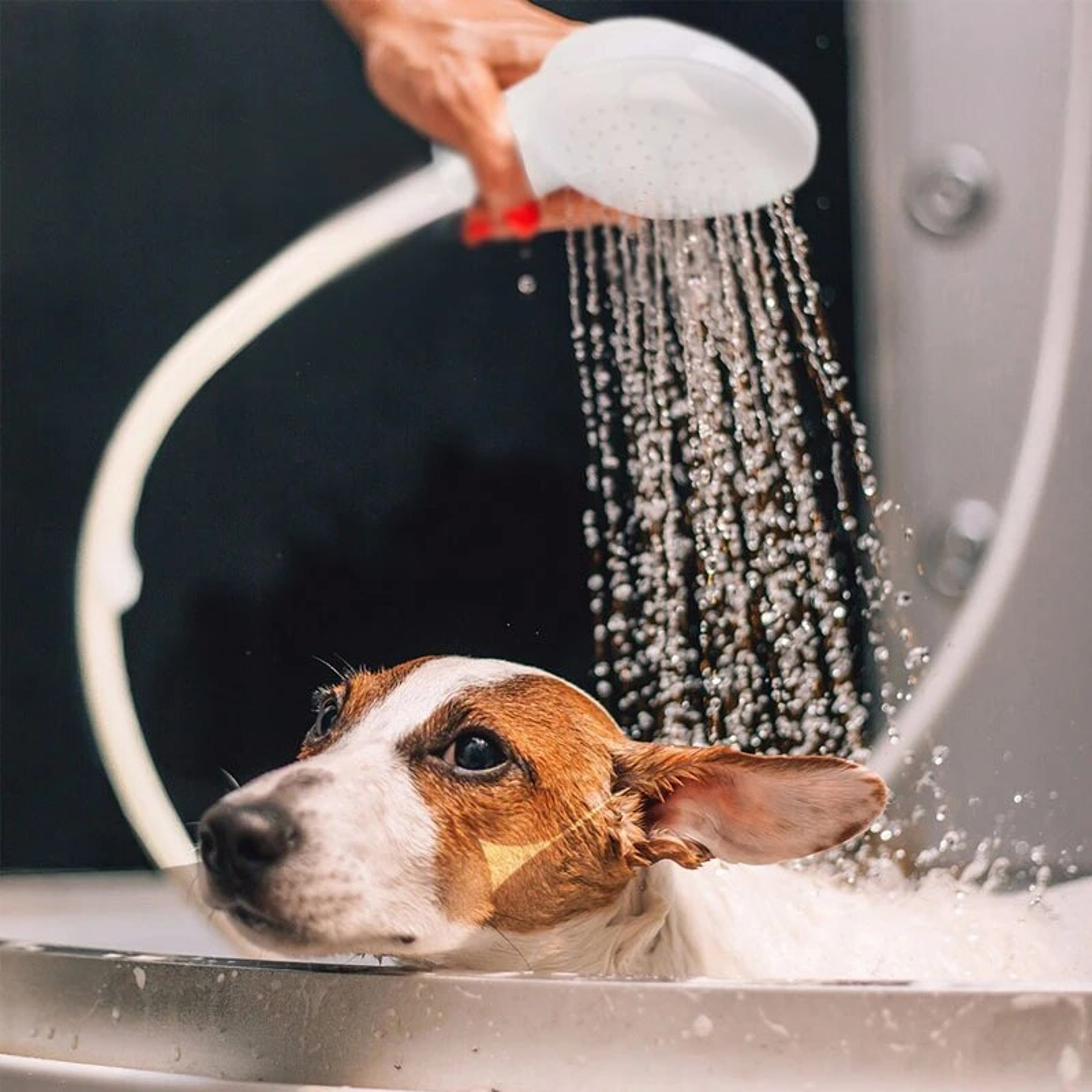 Multifunctional Pet Bathing Shower Sprayer Lightweight Plastic Grooming Tool For Dogs And Cats 2