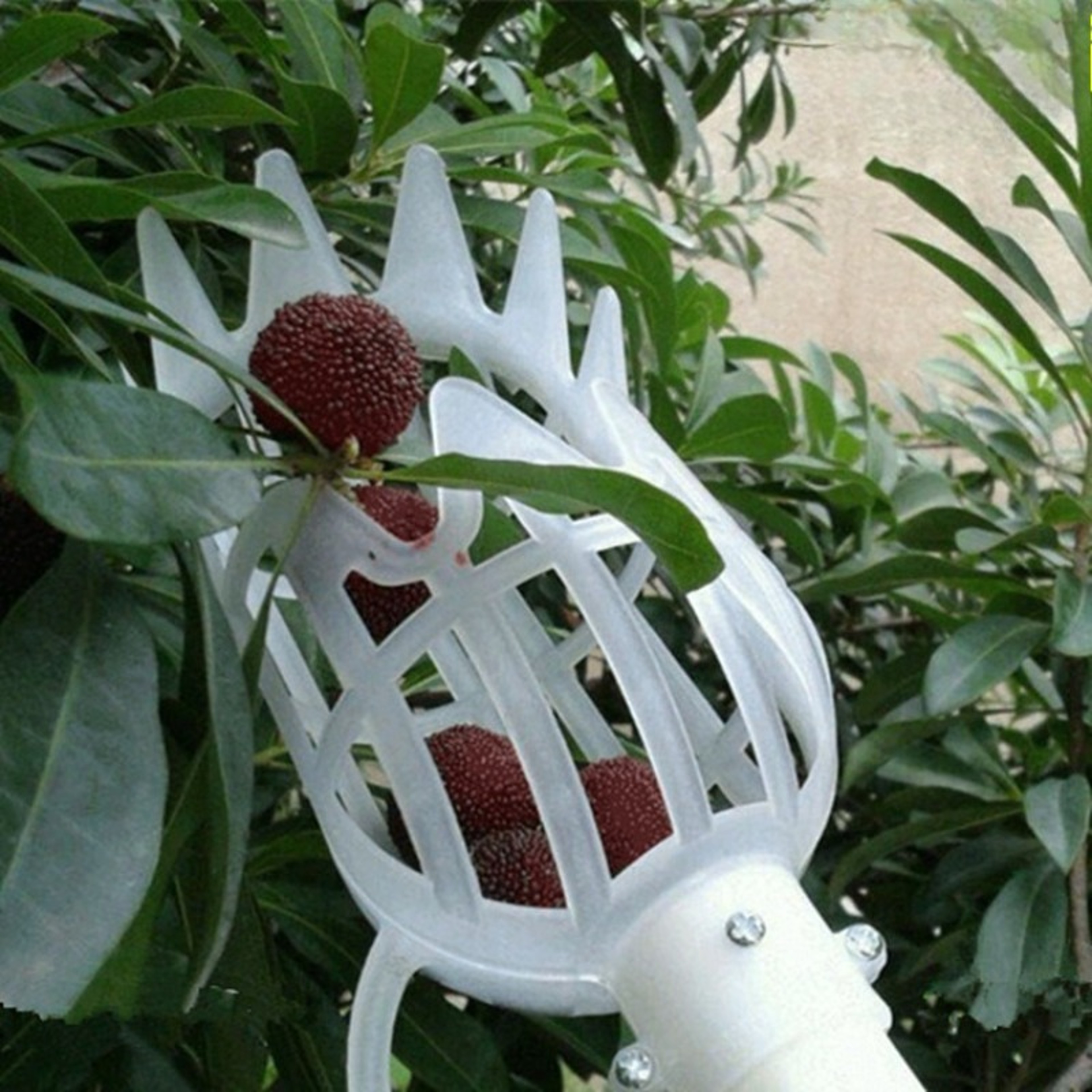 Fruit Picker Tool  Reusable Manual High Branch Fruit Harvesting Device 6
