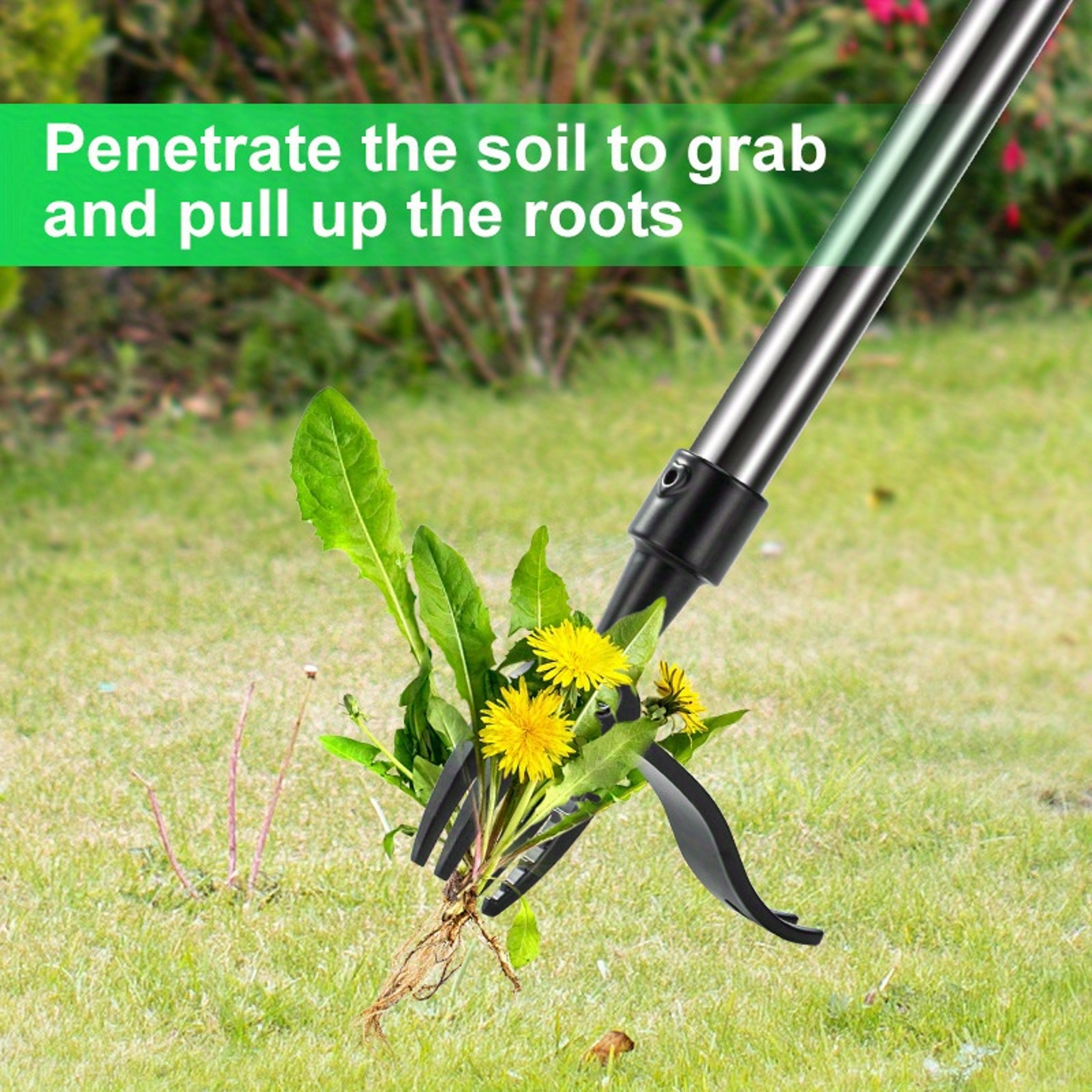 4-Claw Weed Puller Tool Head – Stainless Steel Garden Root Remover – view 5