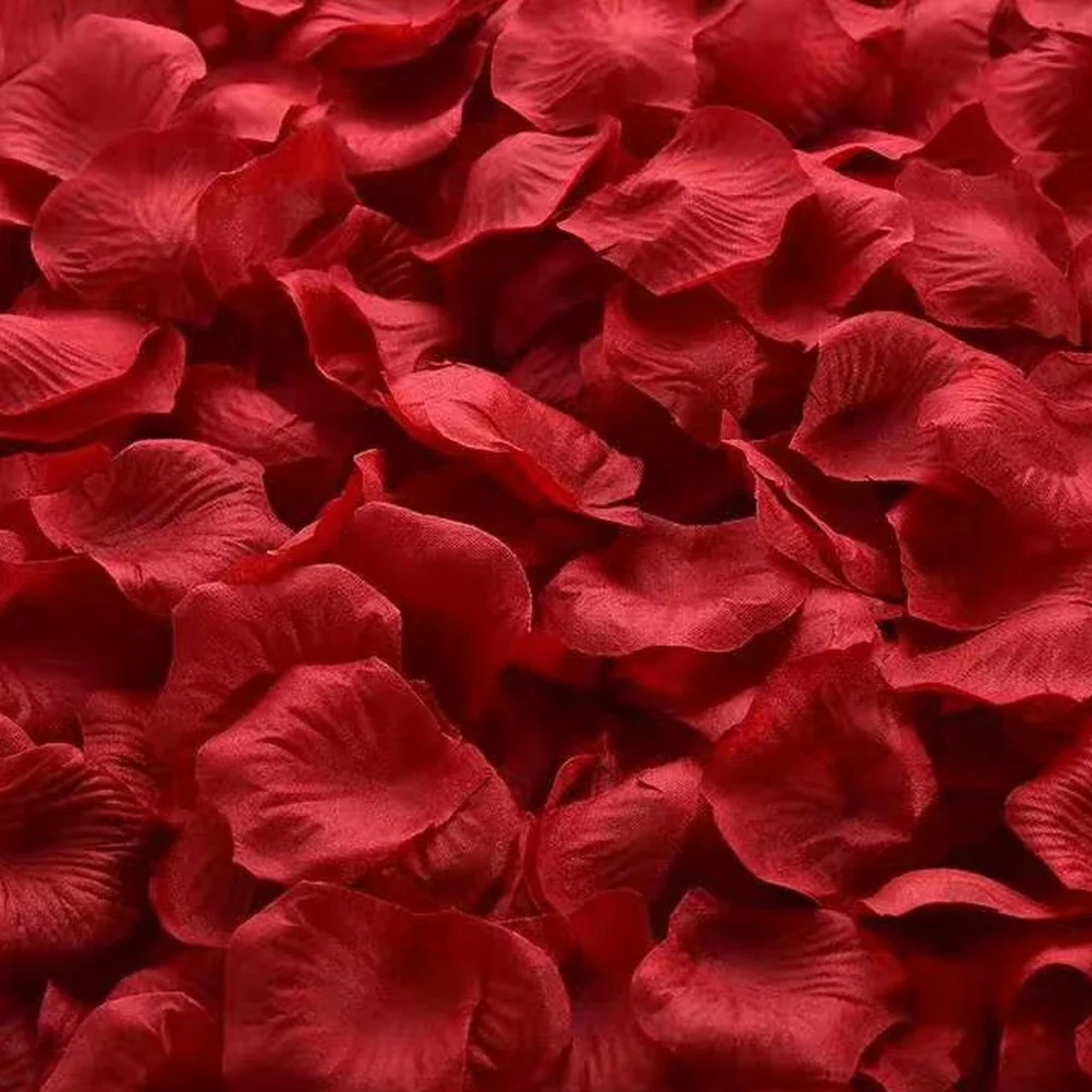 Artificial Rose Petals For Weddings Parties And Romantic Decorations 11