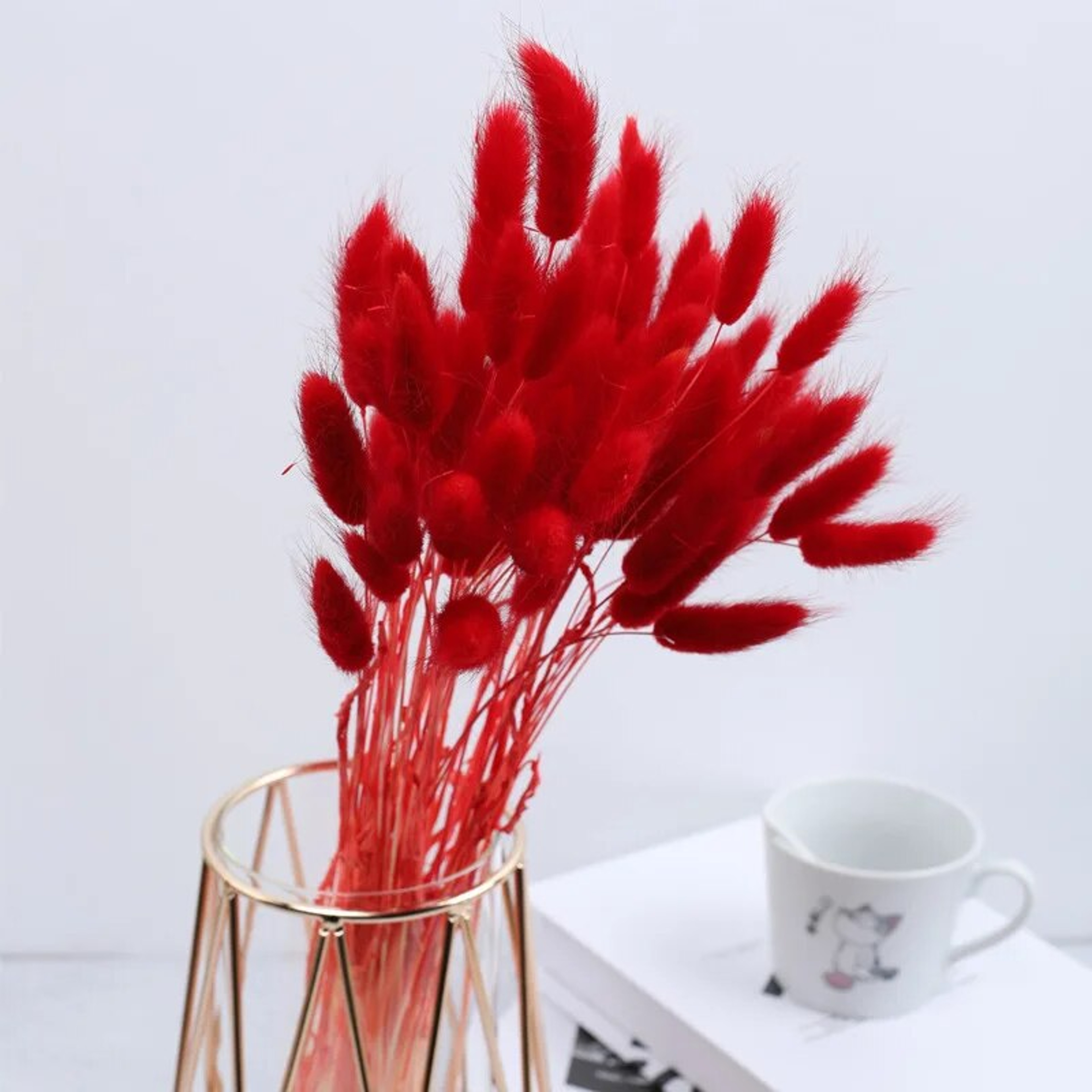 Z5tU30-60pcs-Dried-Flower-Rabbit-Tail-Bouquet-Home-Decor-Natural-Fluffy-Pampas-Floral-Arrangement-Rustic-Wedding.jpg