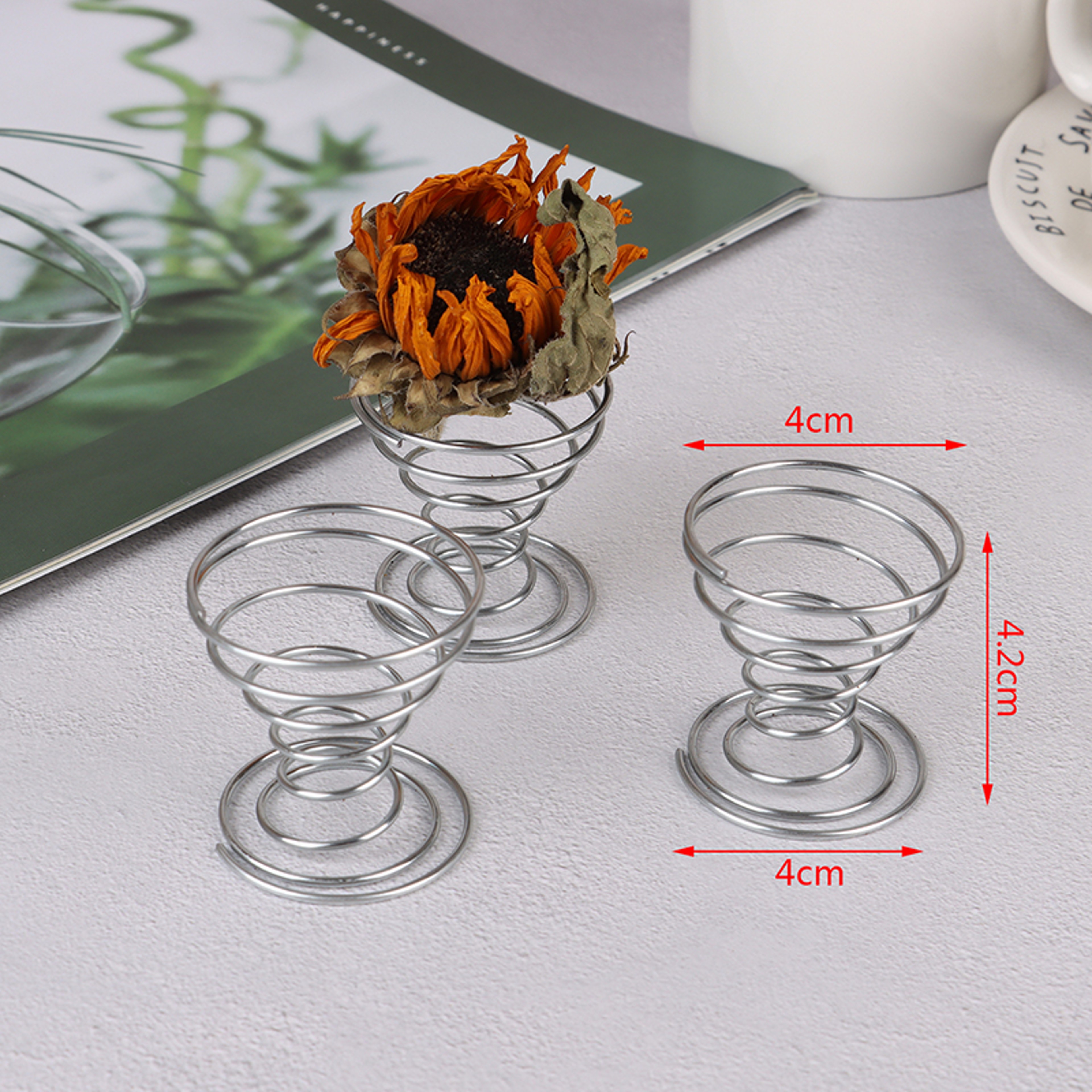 Modern Metal Air Plant Holder Set Flexible Tillandsia Display Stand Decor 1