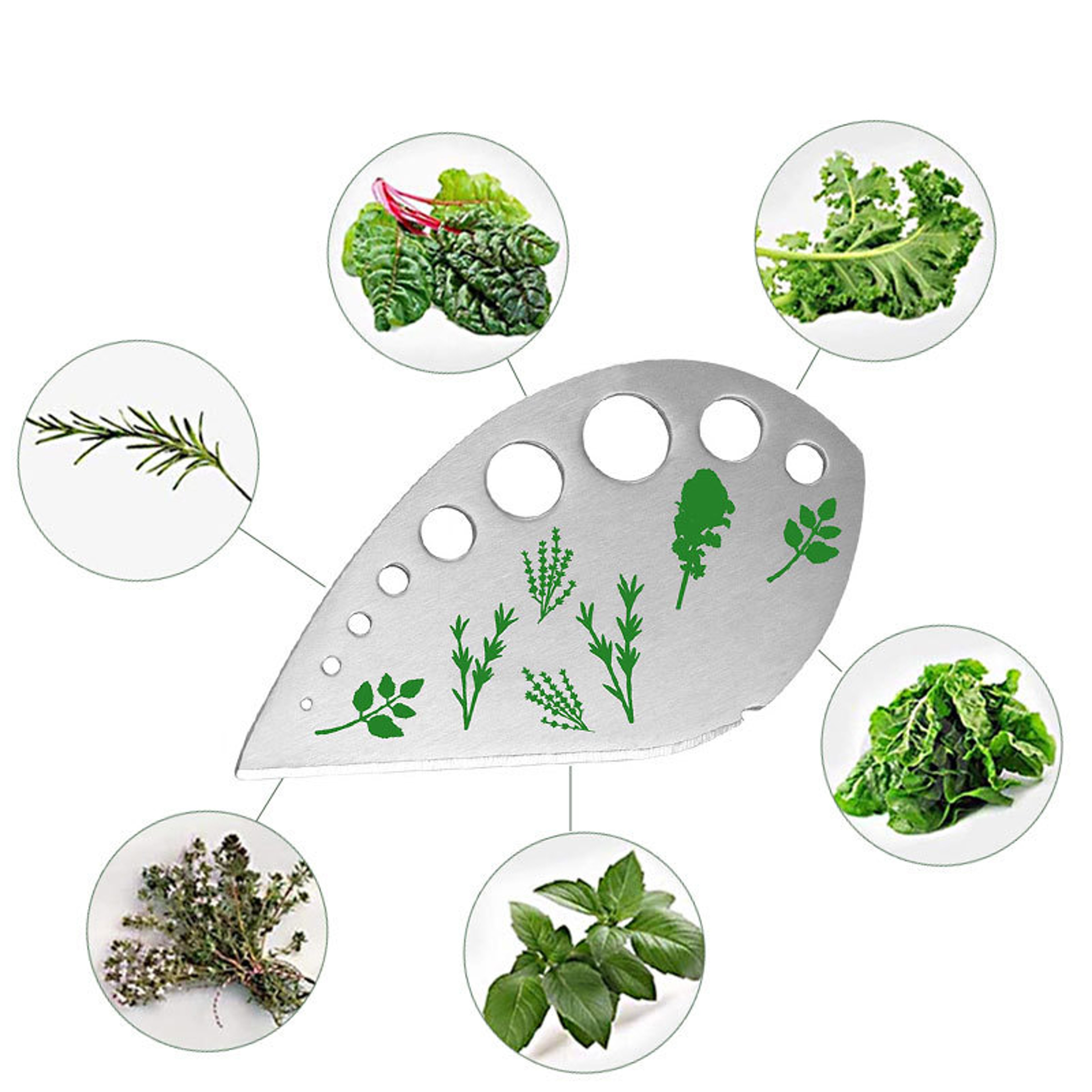 Multifunctional Stainless Steel Herb Stripper & Vegetable Leaf Remover – view 4