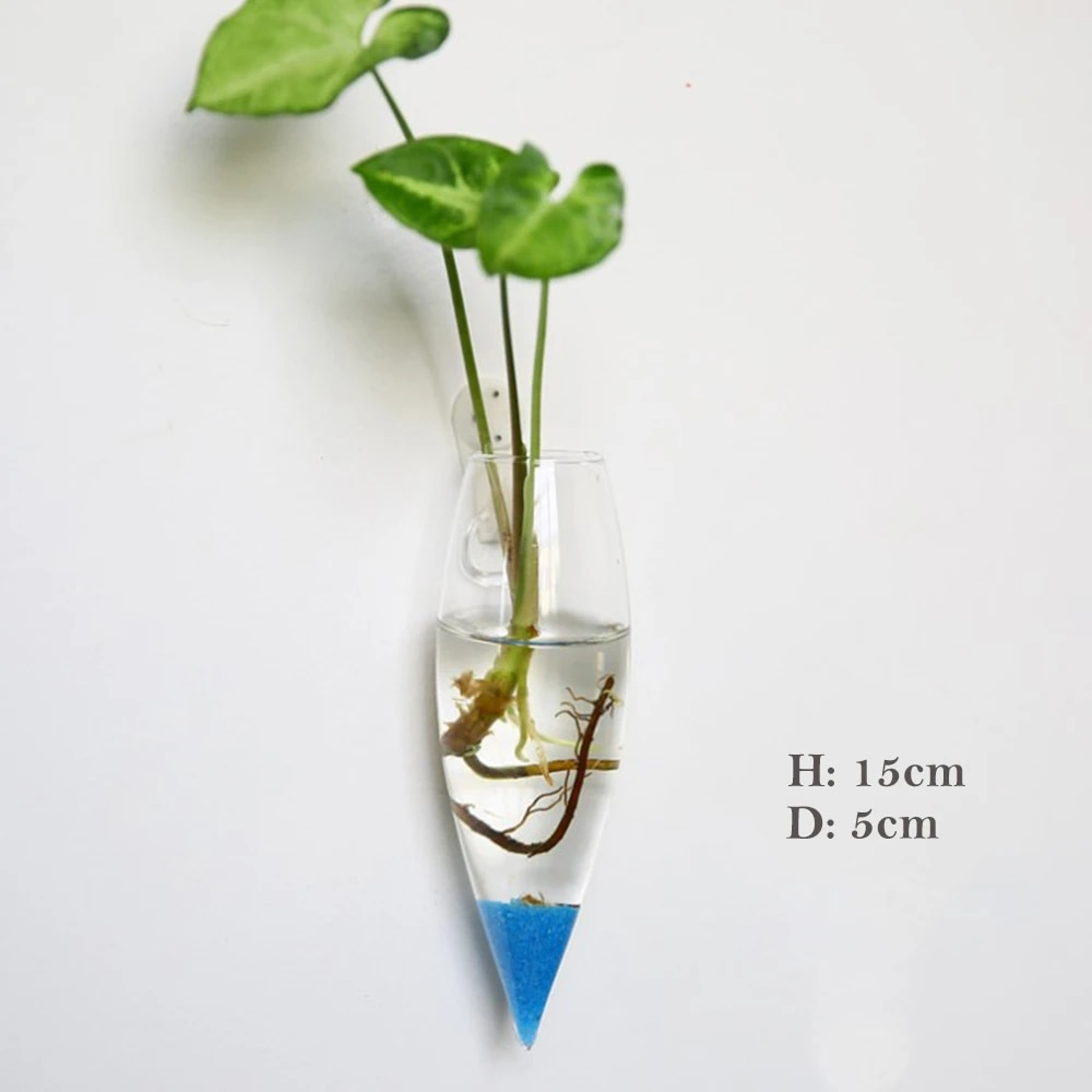 HMT8FashionWallHangingGlassFlowerVaseTerrariumWallFishTankAquariumContainerFlowerPlante
