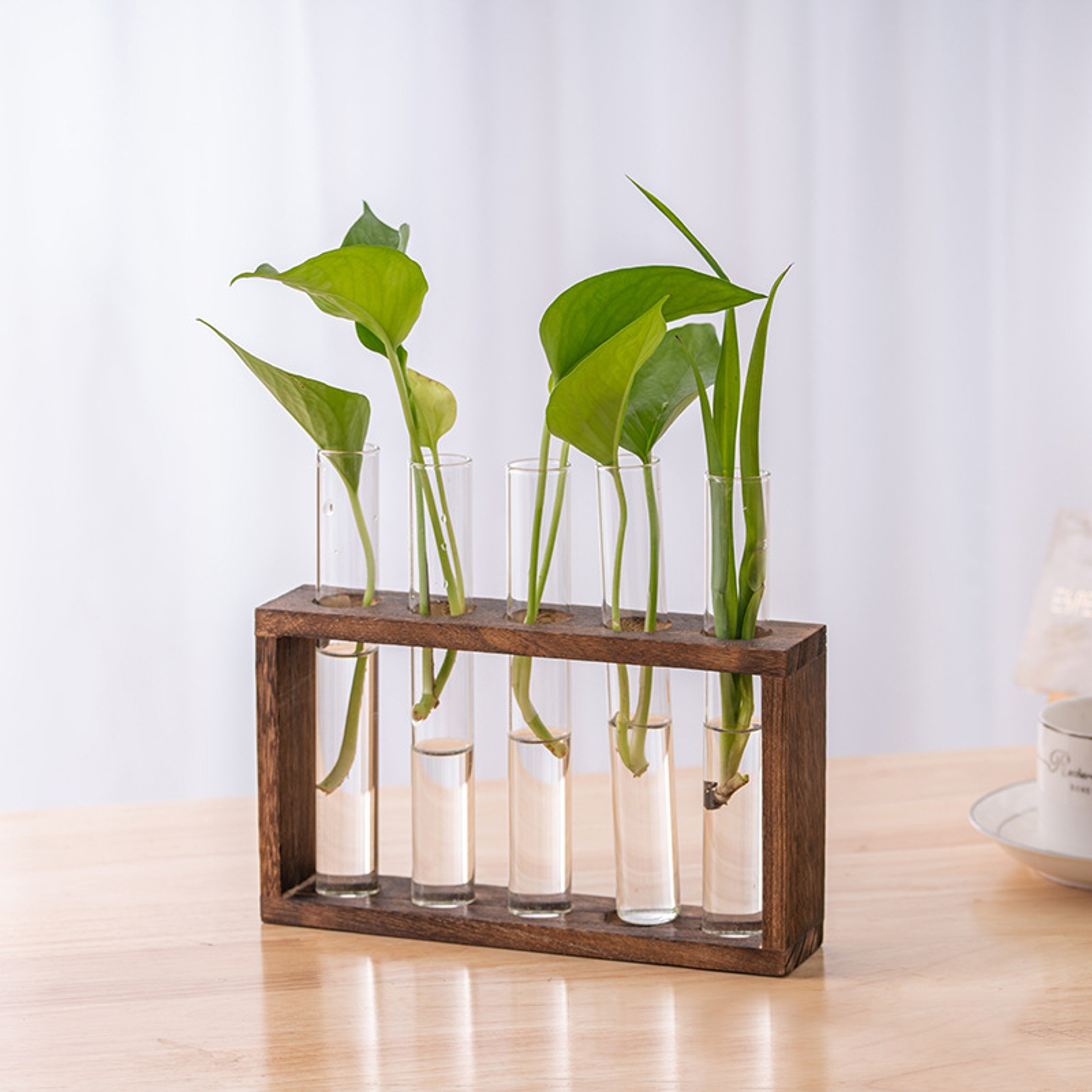 Wood Frame Glass Vase, Hydroponic Plant Container, Transparent Test Tube Flower Pot, Tabletop Bonsai Home Decor Crafts – view 4