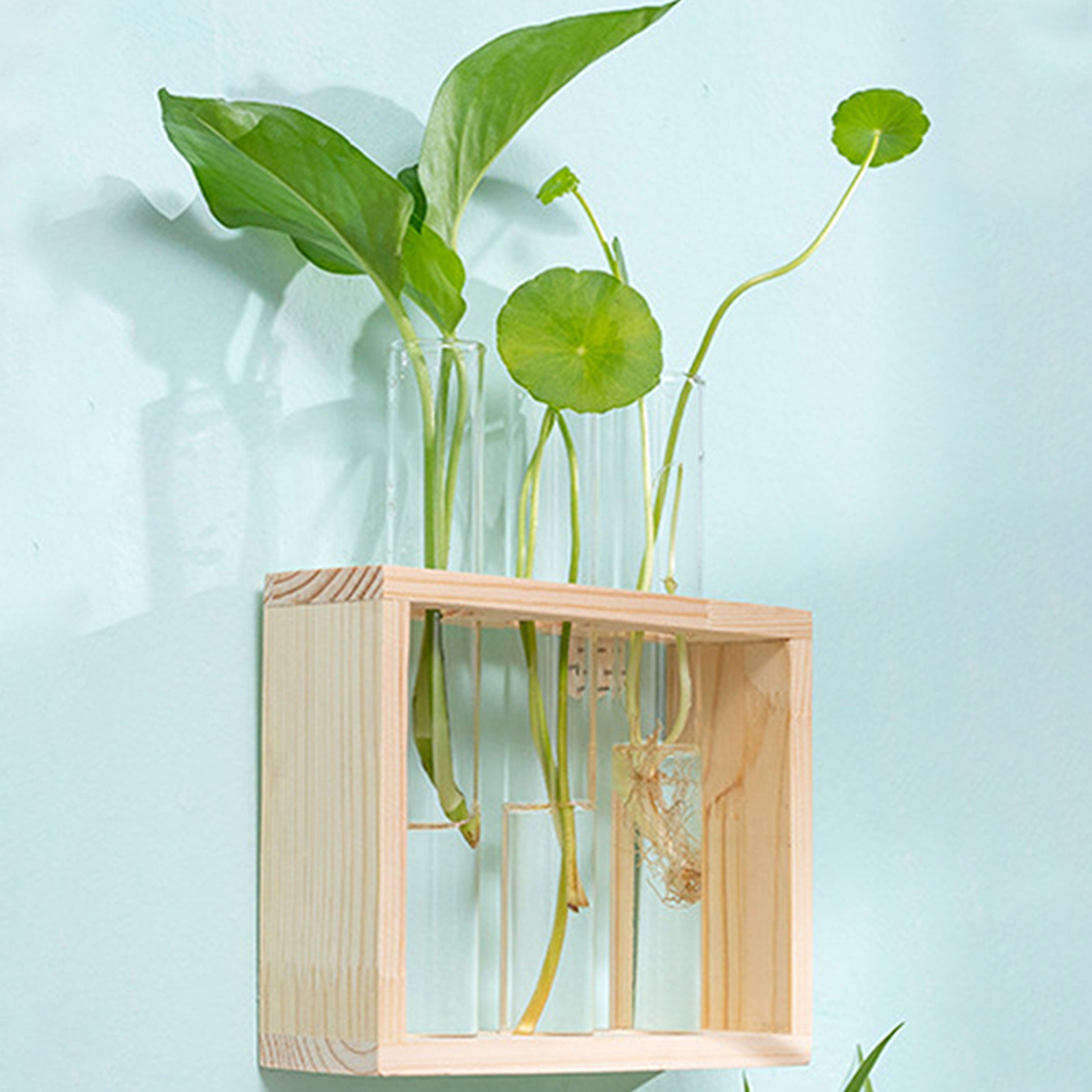 Wood Frame Glass Vase, Hydroponic Plant Container, Transparent Test Tube Flower Pot, Tabletop Bonsai Home Decor Crafts – view 5