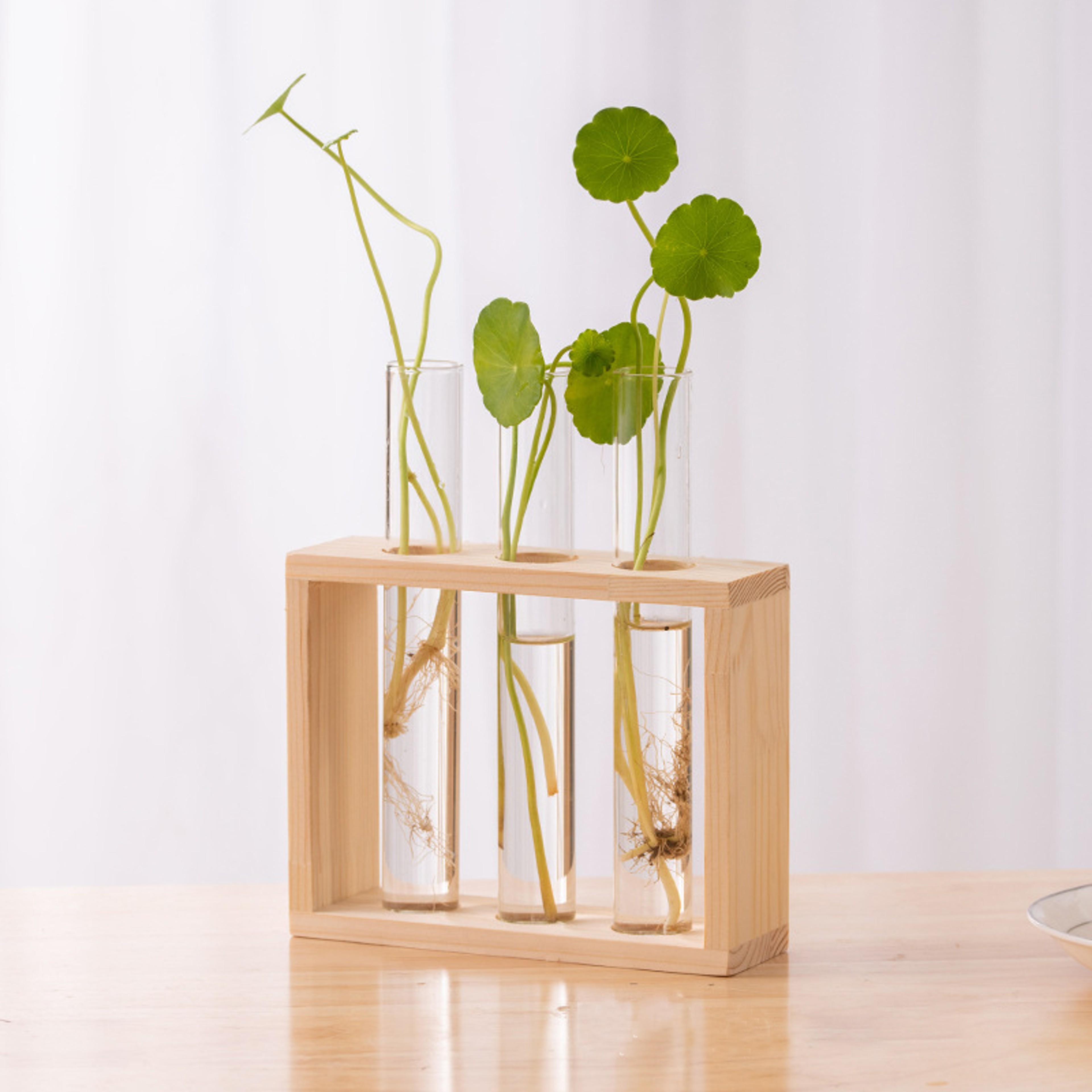 Wood Frame Glass Vase, Hydroponic Plant Container, Transparent Test Tube Flower Pot, Tabletop Bonsai Home Decor Crafts – view 8