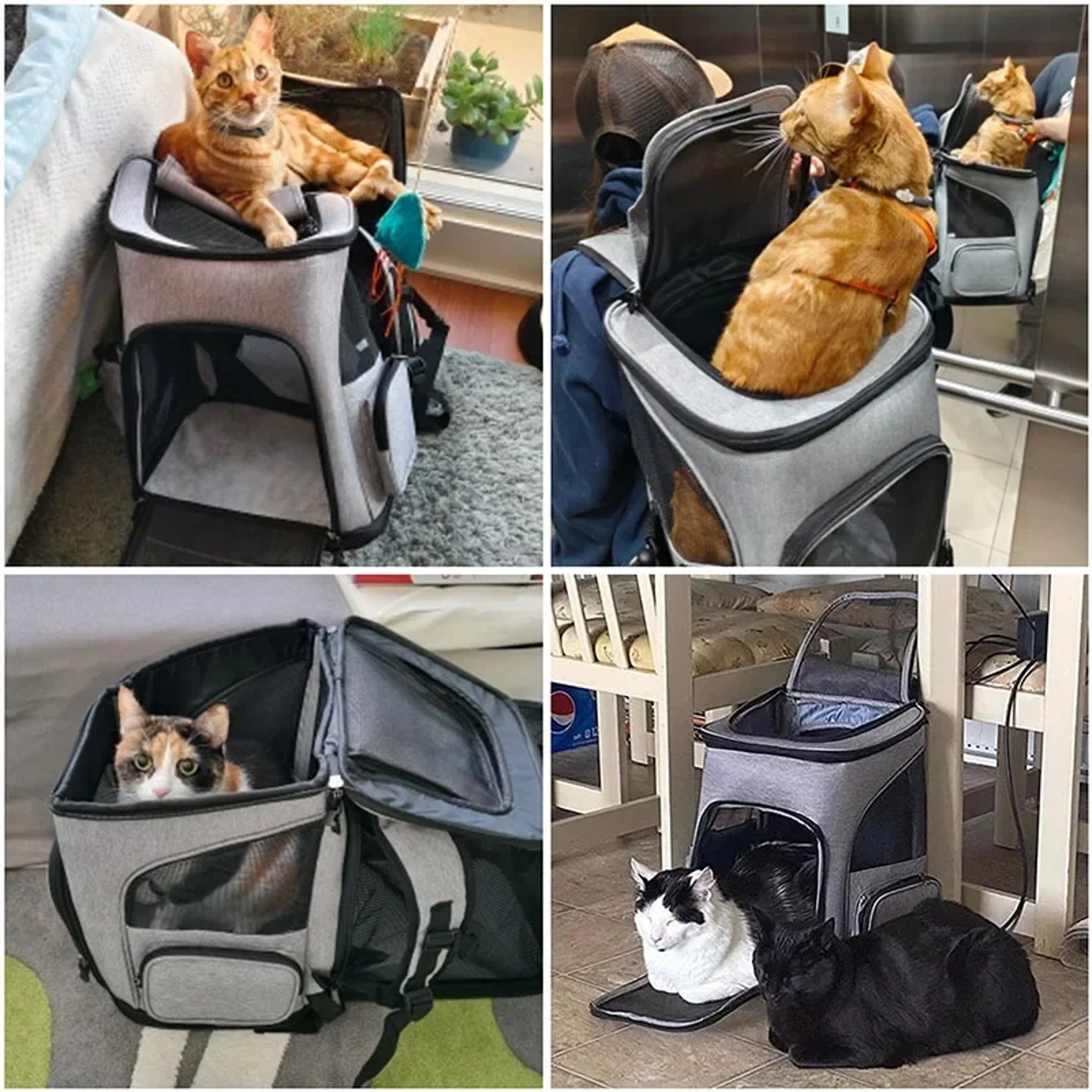 Creative Pet Transport Backpack Breathable Foldable Expandable Travel Bag For Cats And Dogs 1