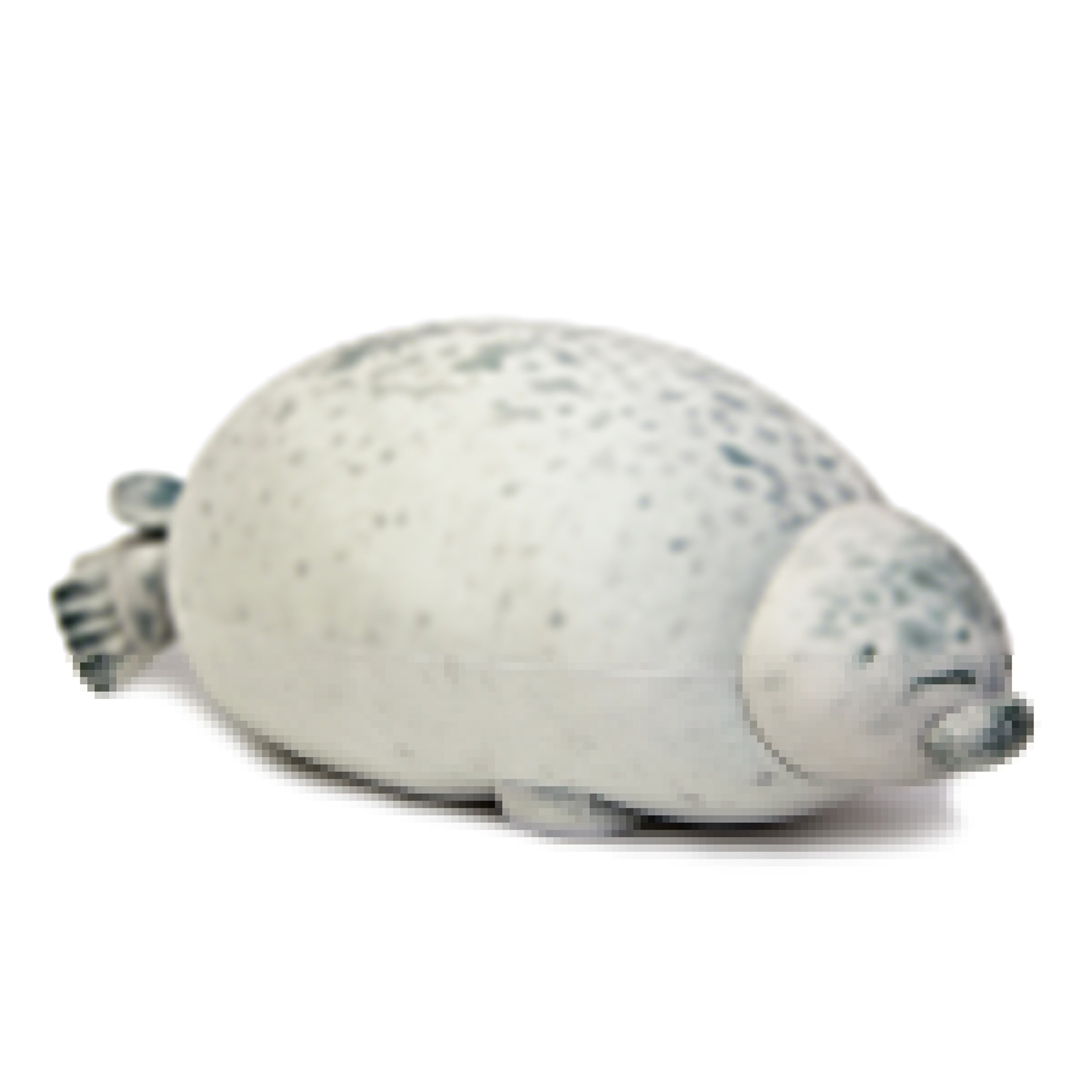 Angry Blob Seal Pillow  Cute Chubby Sea Lion Plush Stuffed Toy For Kids Baby Sleeping  Throw Pillow 5