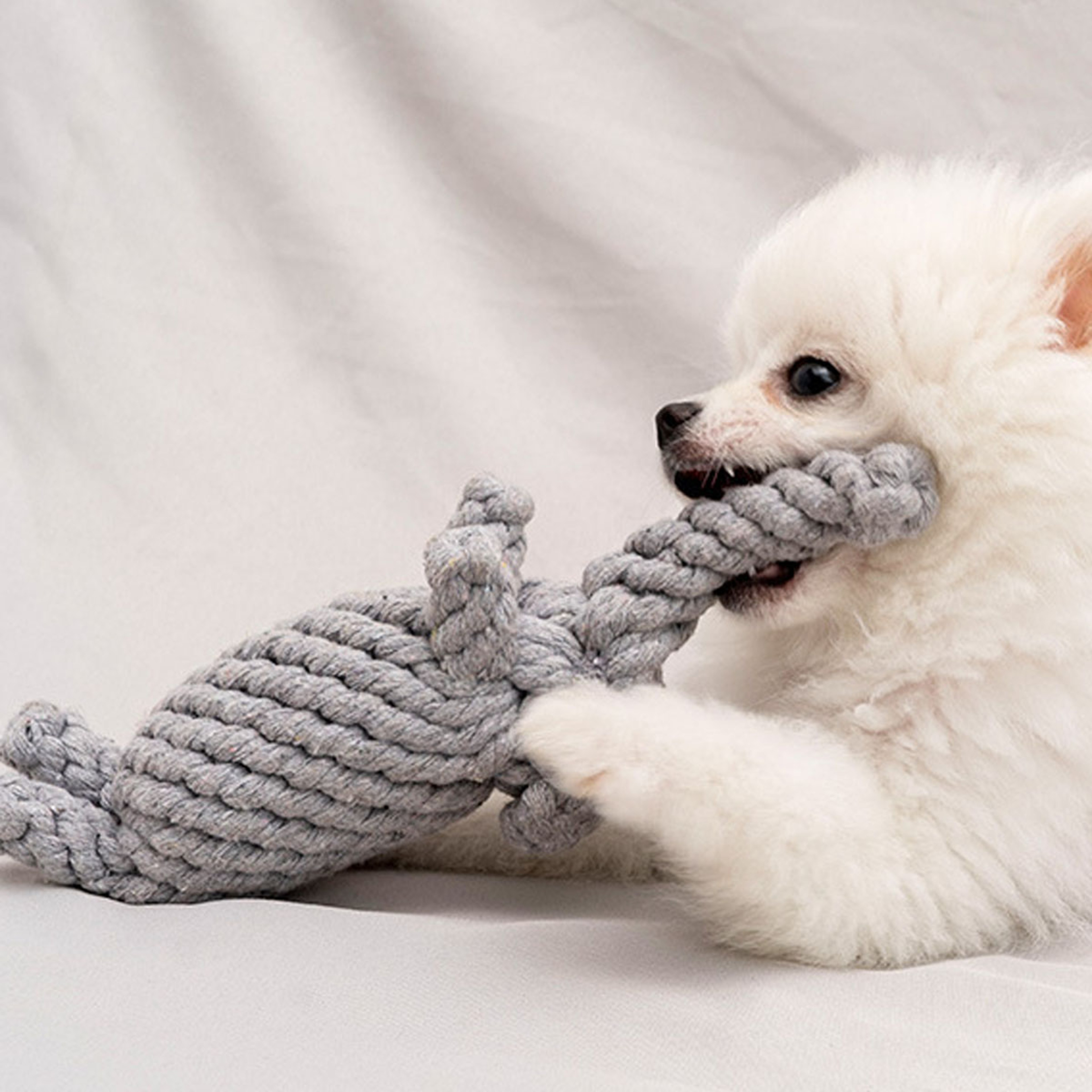 Durable Cotton Rope Dog Toy Hand-Woven Knot Grinding Teeth Resistant for Small and Medium-Sized Dogs – view 2
