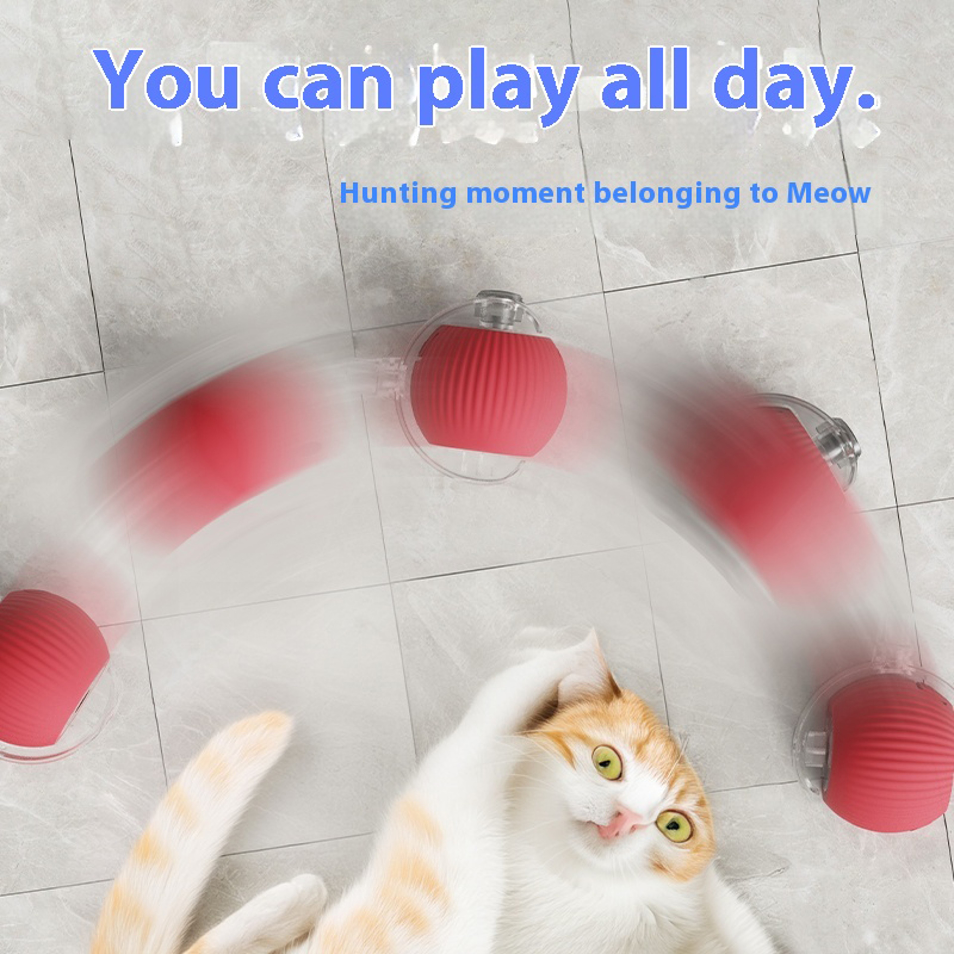Interactive Electric Cat Ball With Teaser Bird Rechargeable Smart Pet Toy 1