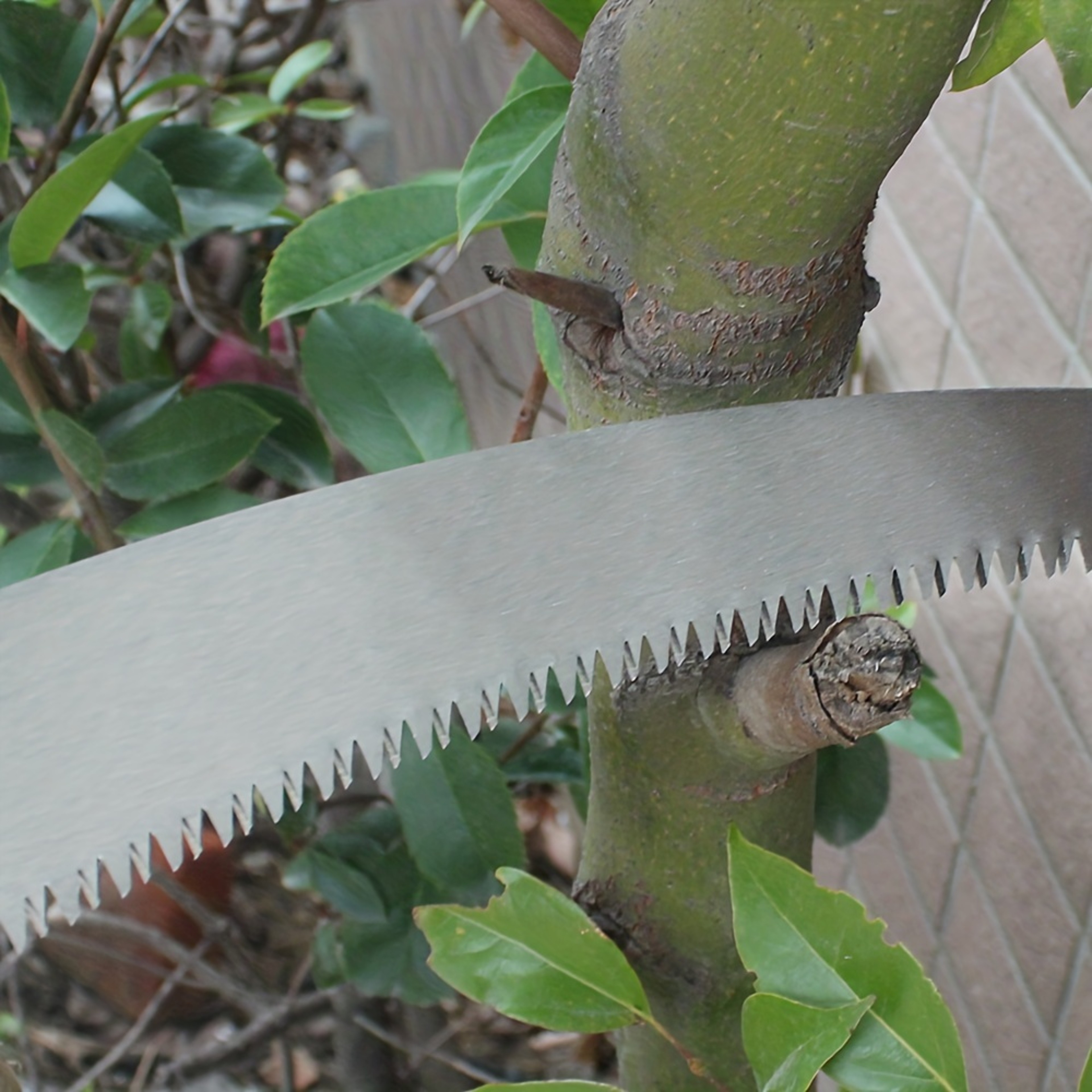 High Performance Curved Pruning Saw with Comfort Grip for Tree and Garden Cutting – view 6