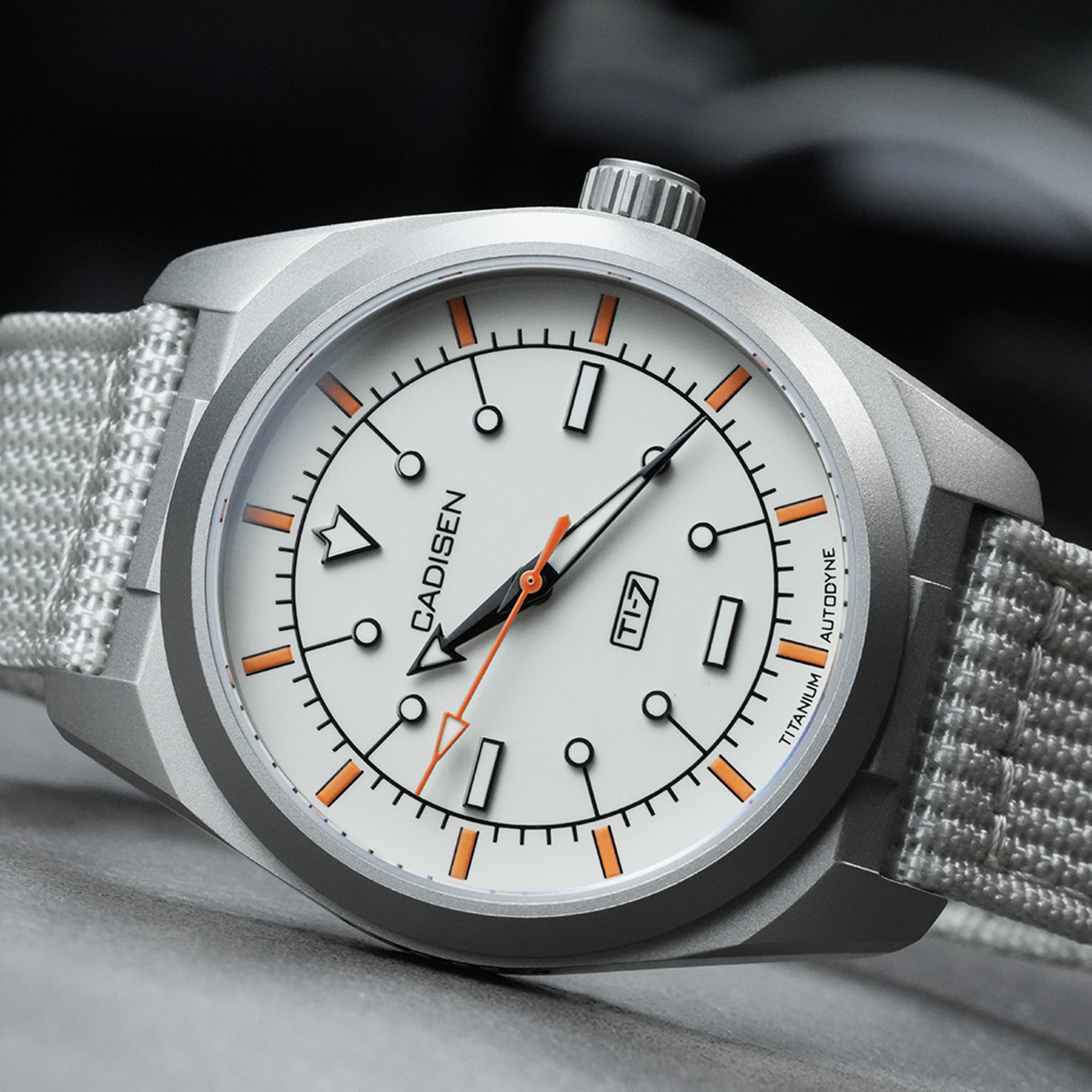 Titanium Steel Automatic Mechanical Canvas Watch with Movement – view 5