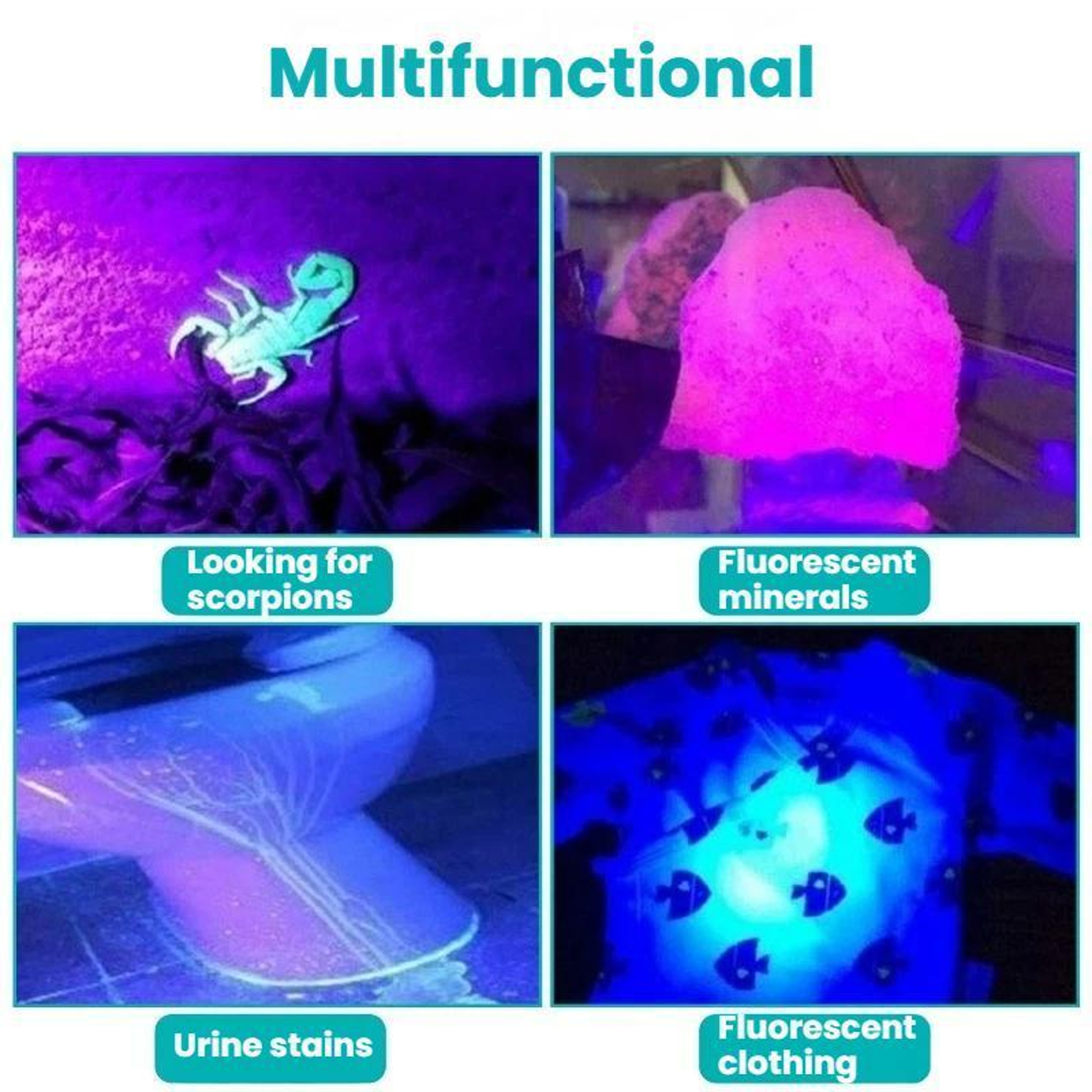 100 LED UV Flashlight Banknote Detector For Currency Verification Pet Stain  Scorpion Detection 3