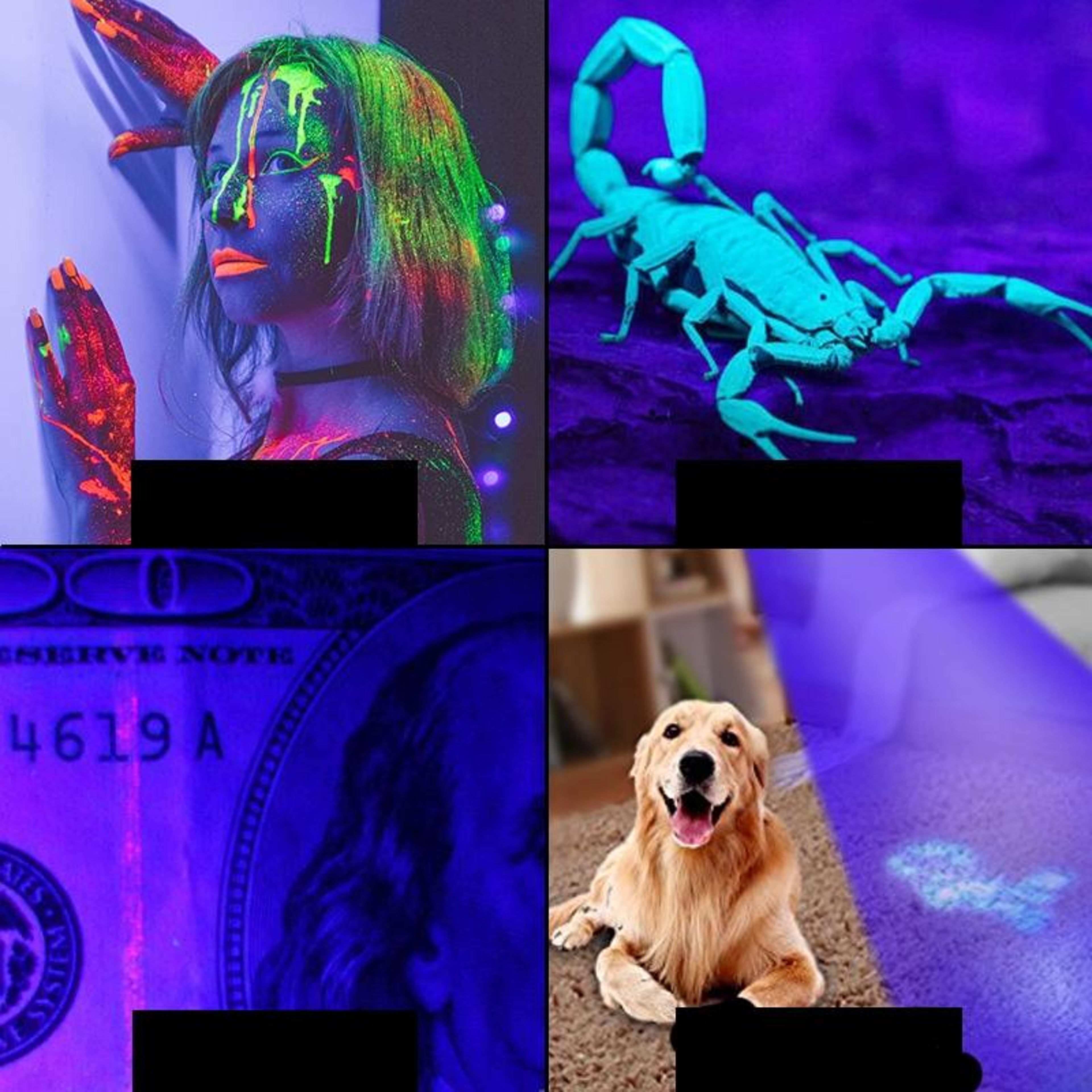 UV Scorpion Finder  Money Detector Flashlight 100 LED Blacklight Waterproof Inspection Lamp 5