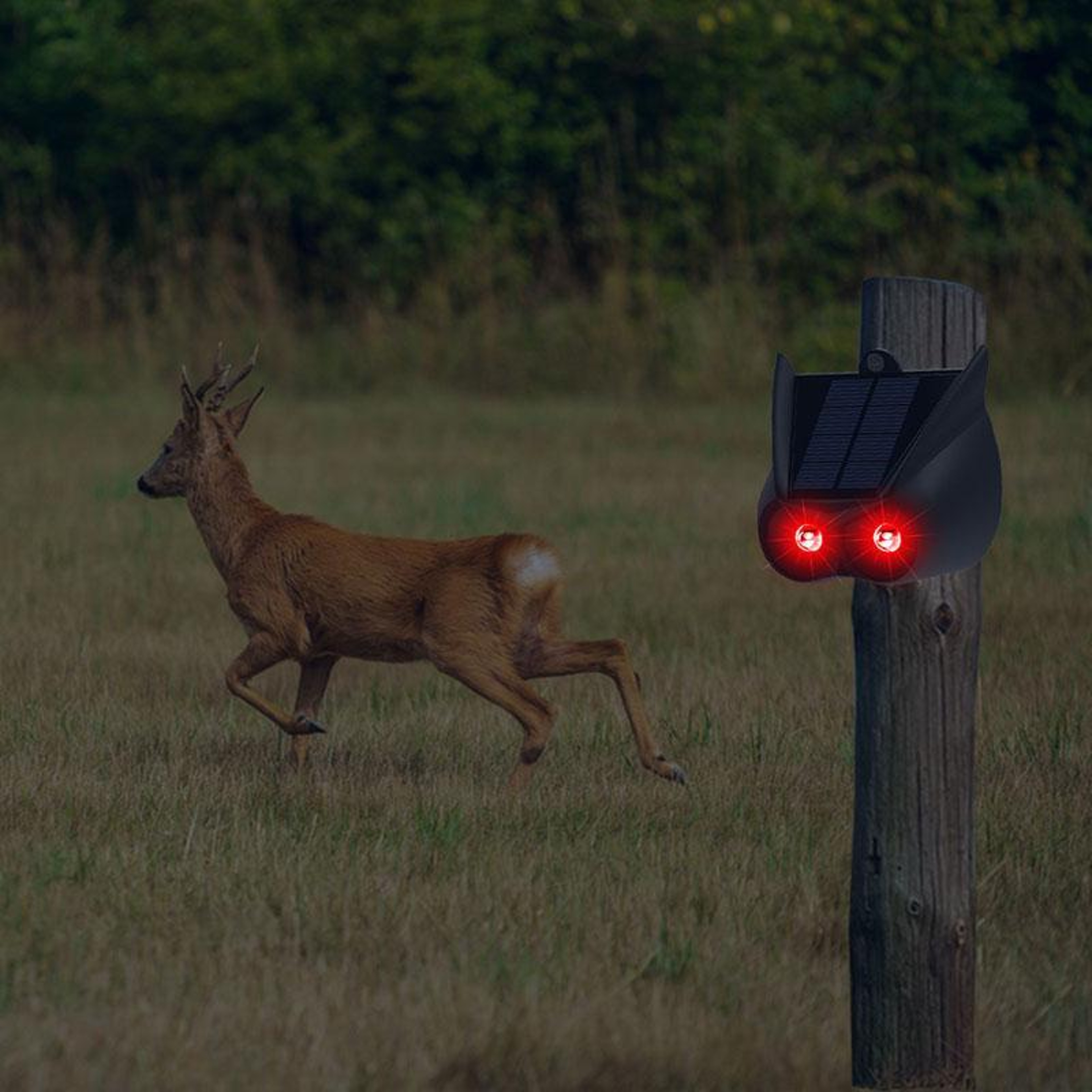 Solar Animal Repellent Predator Eye Deterrent Light For Gardens  Farms 0